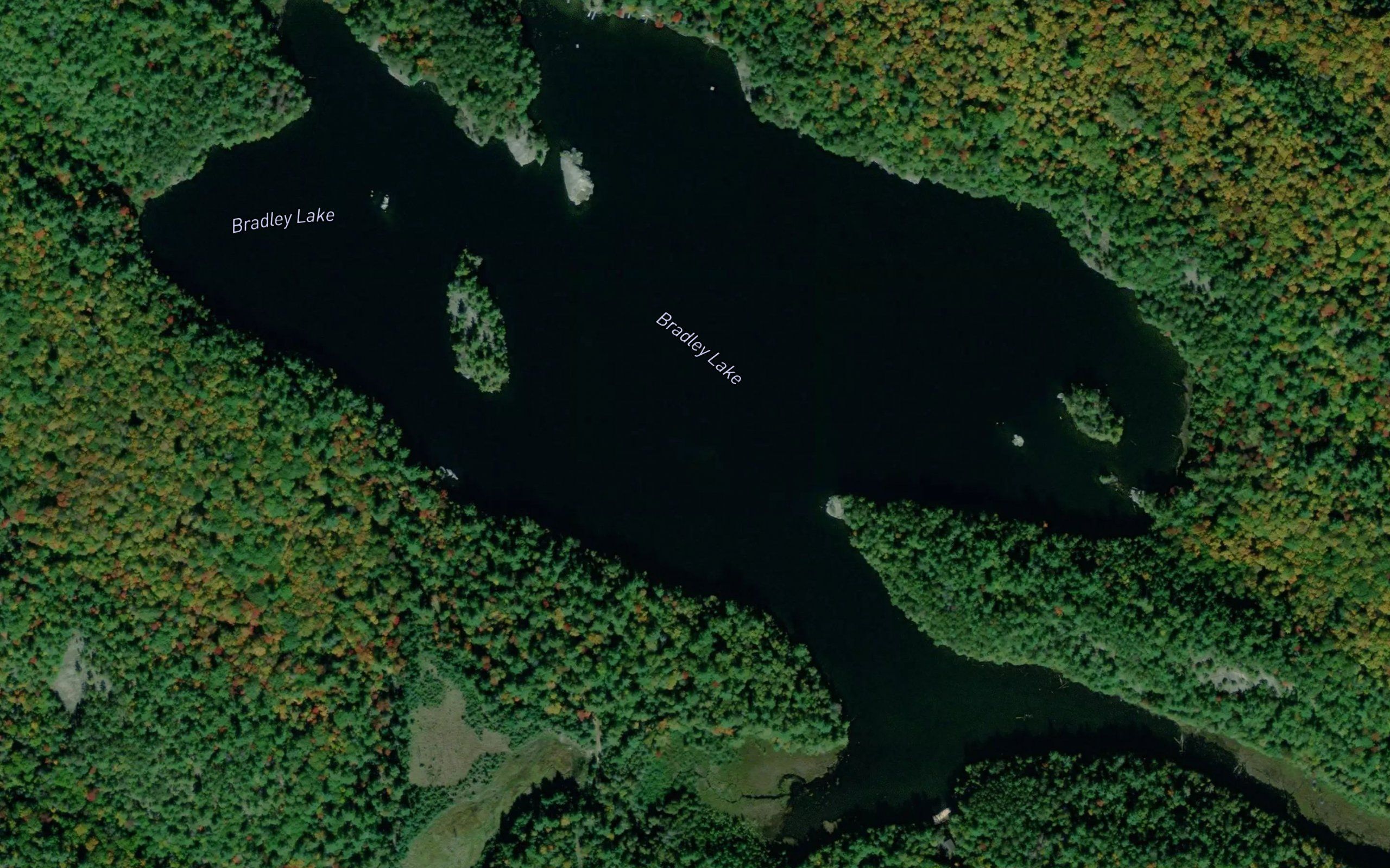 Bradley Lake