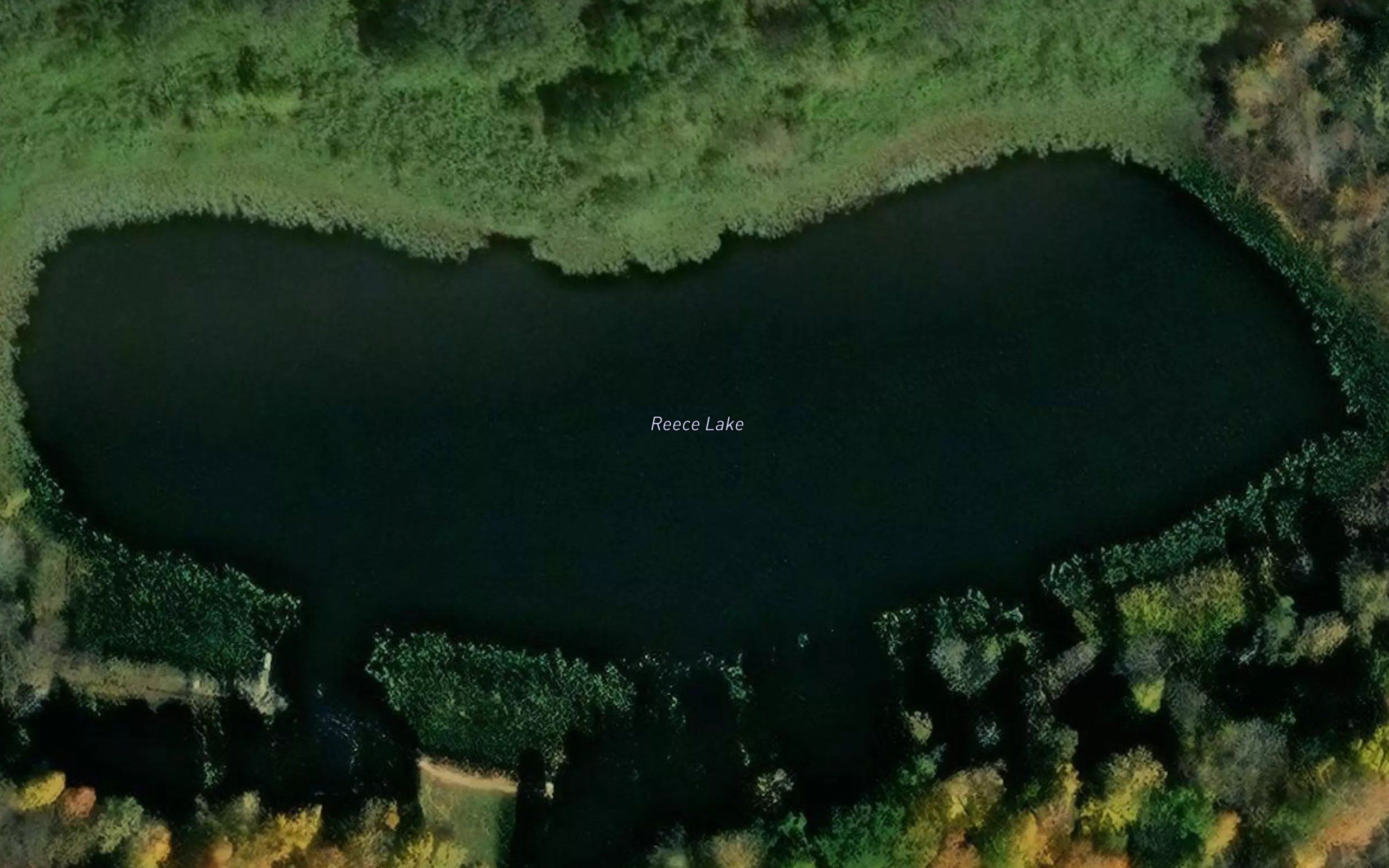Reece Lake