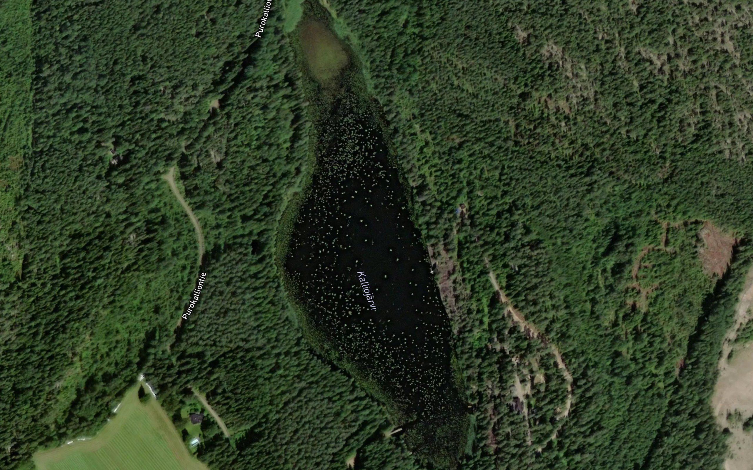 Kalliojarvi