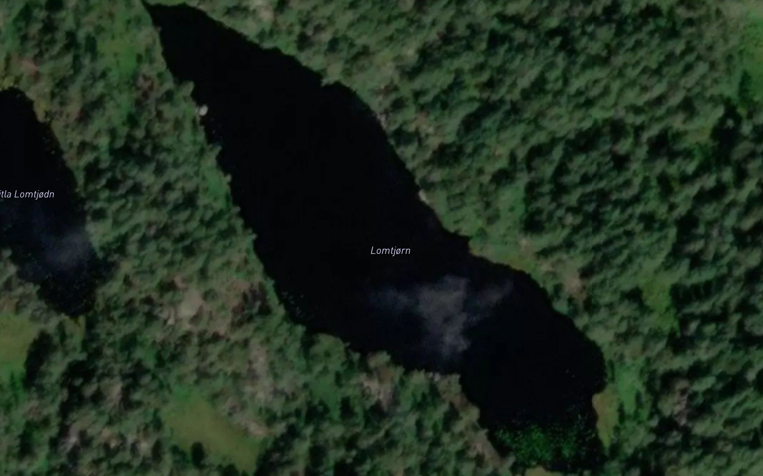 Lomtjorn