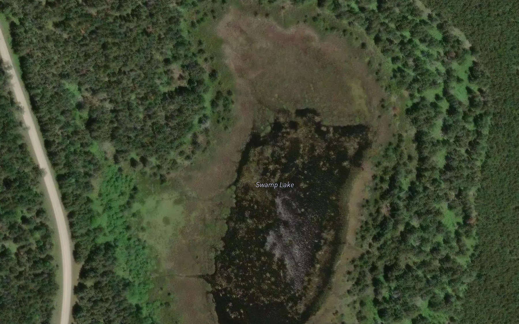 Satellite map of the Swamp Lake
