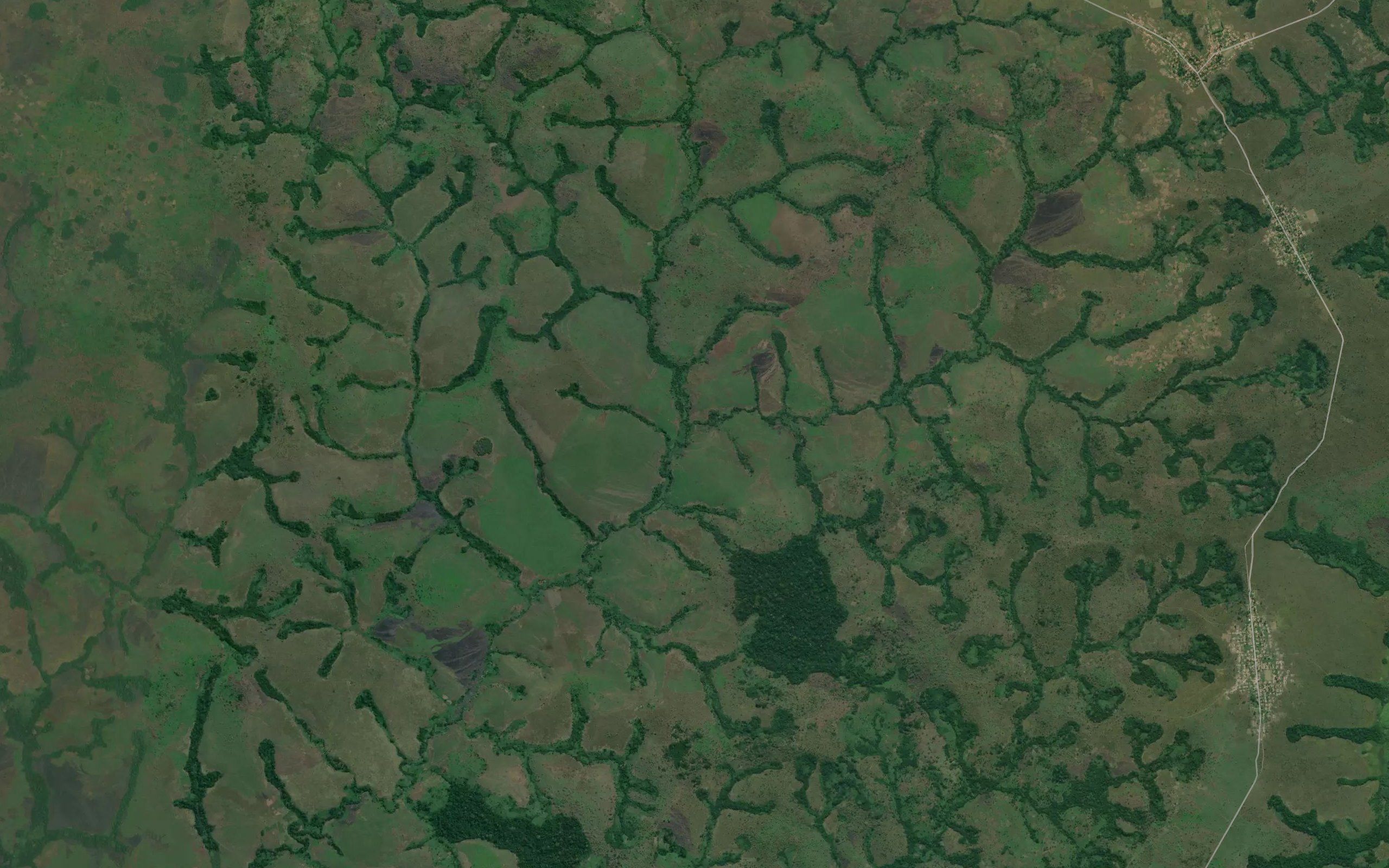 Tshinkudi