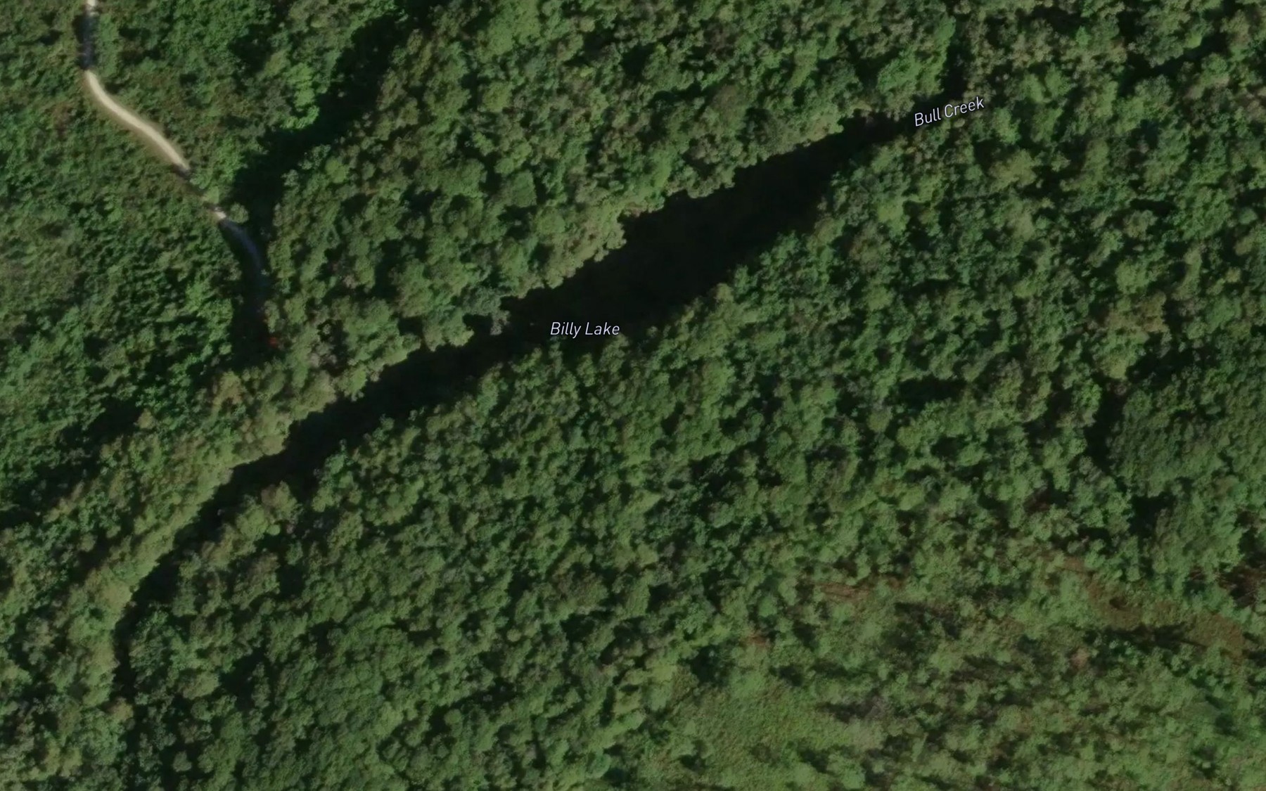 Satellite map of the Billy Lake