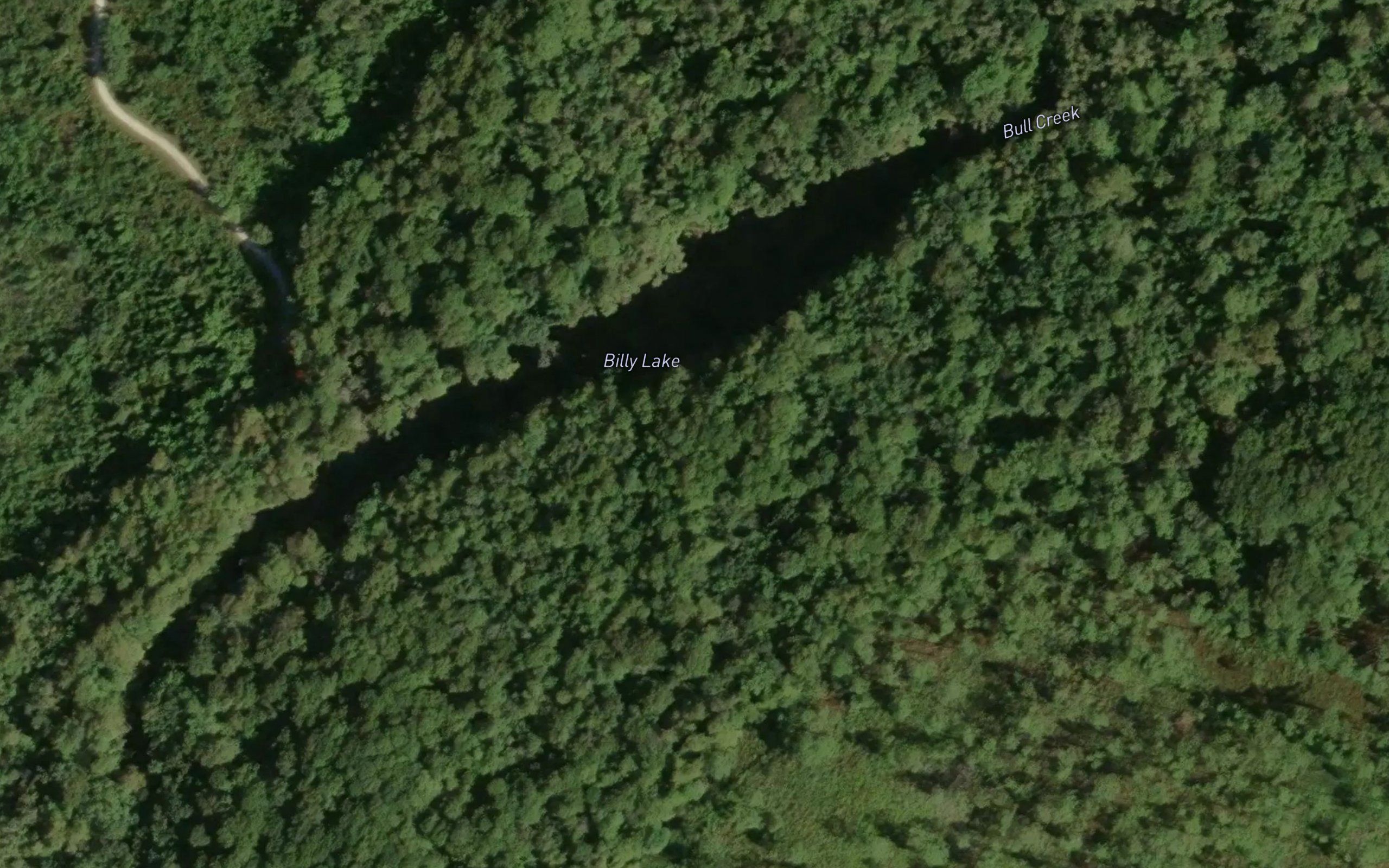 Billy Lake
