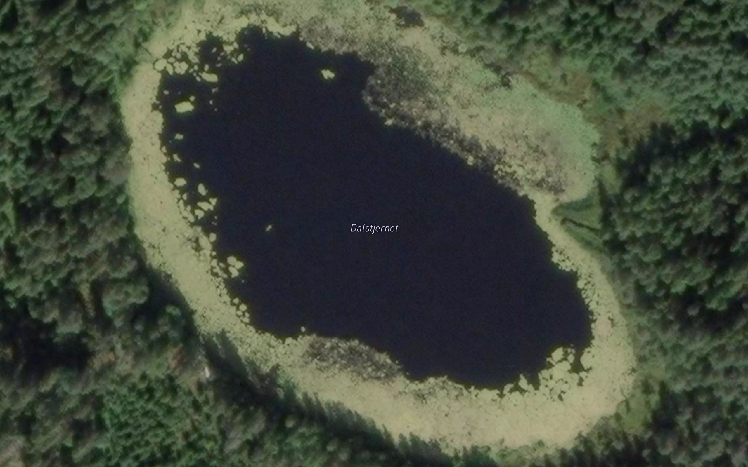 Daelstjernet