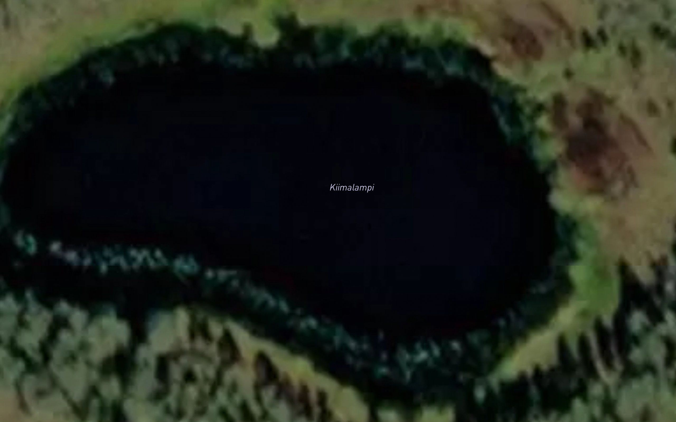 Kiimalampi