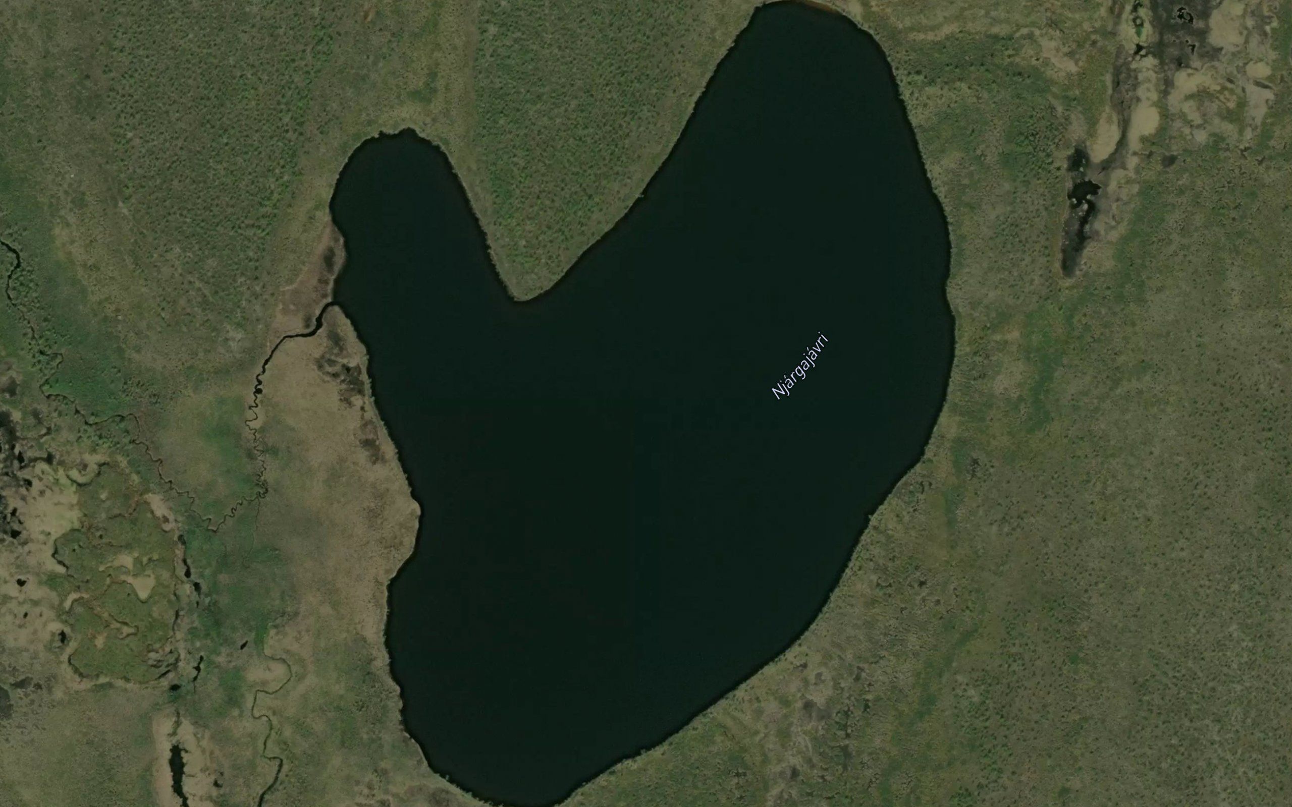 Njargajavri