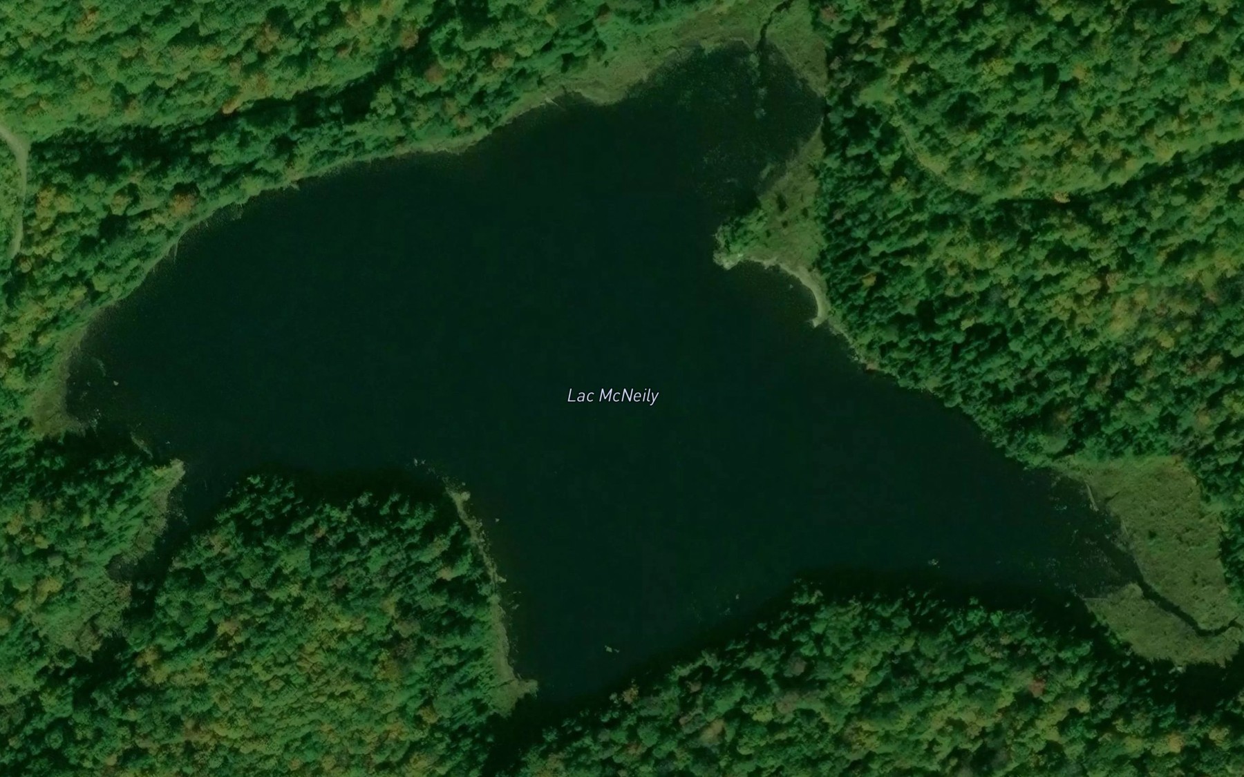 Satellite map of the Lac McNeily