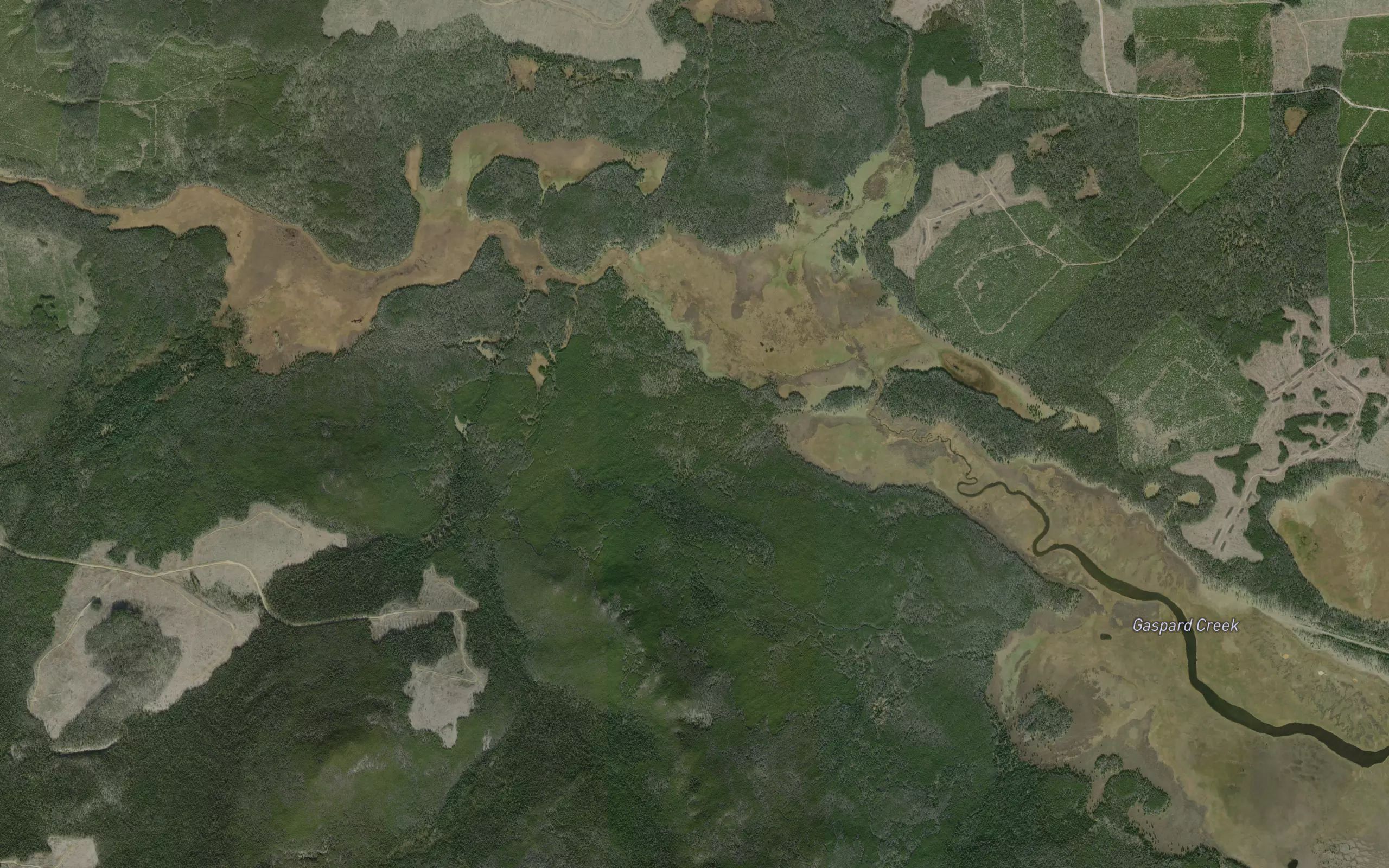 Wales Creek
