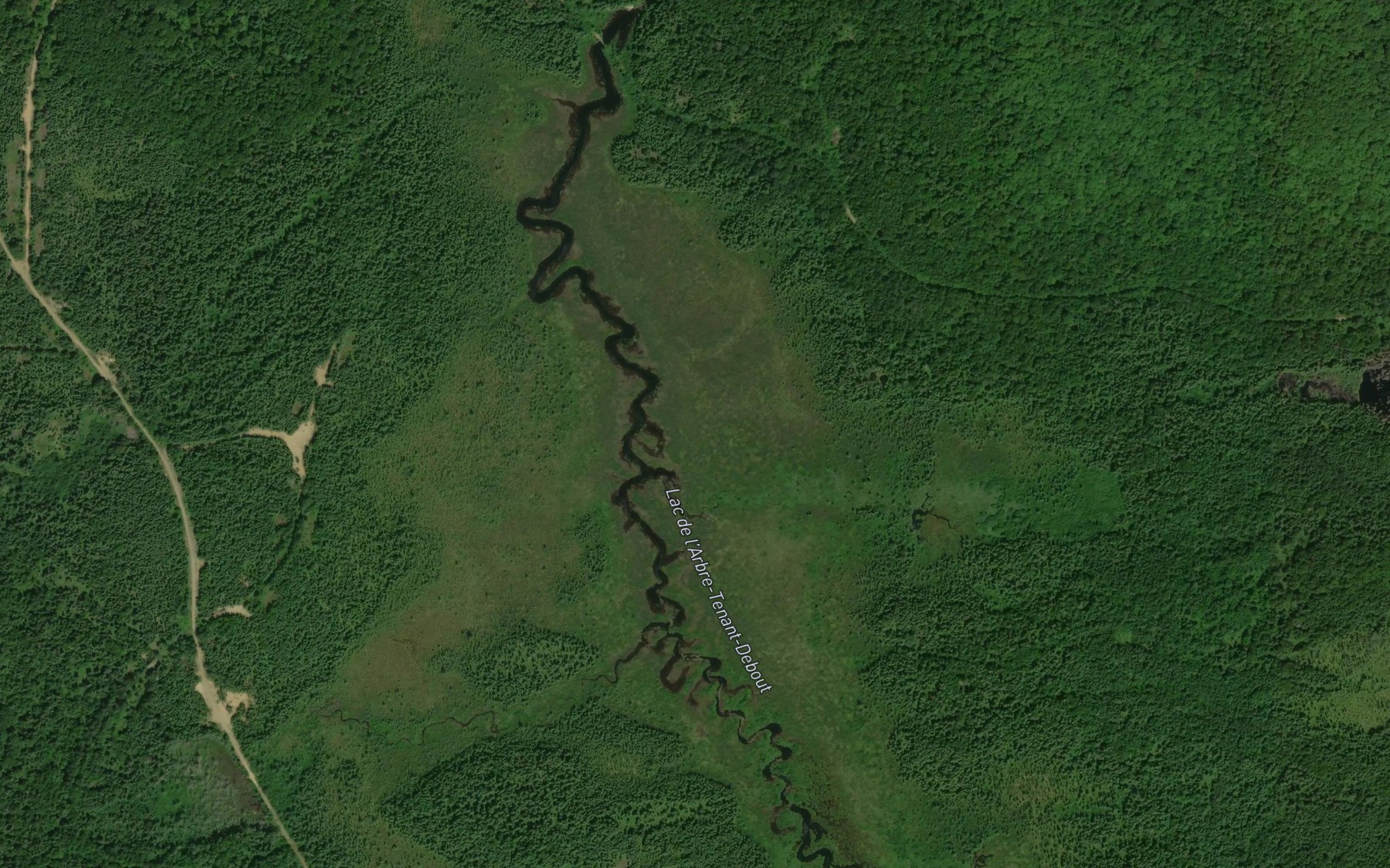 Satellite map of the Lac de l'Arbre-Tenant-Debout