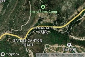 Tamarack Creek
