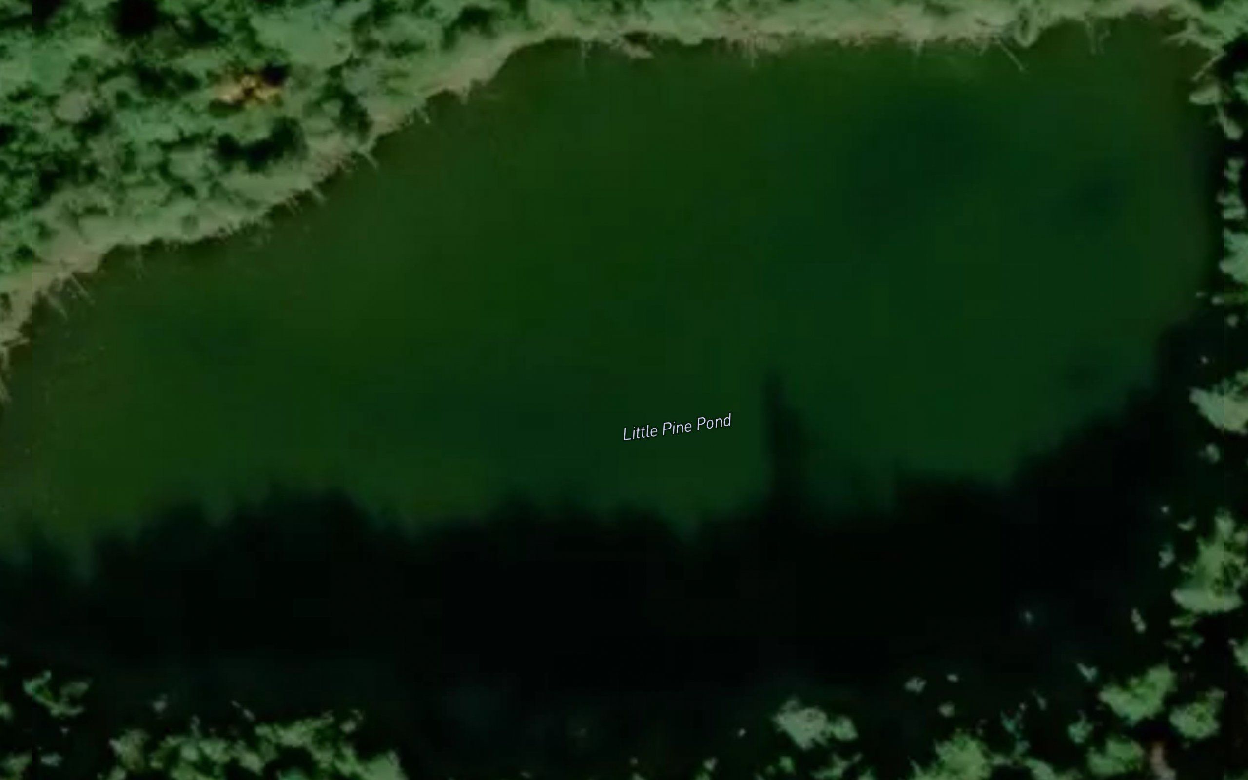 Little Pine Pond