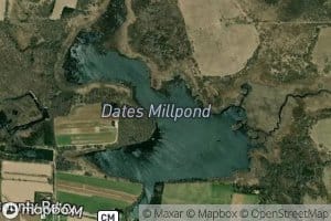 Dates Millpond