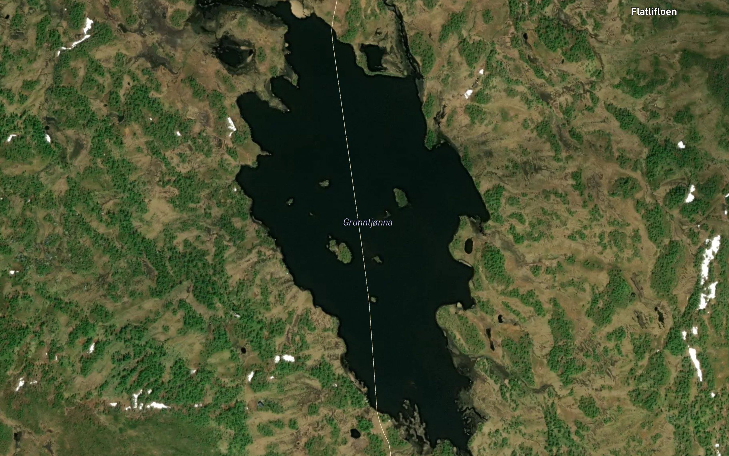 Grunntjorna