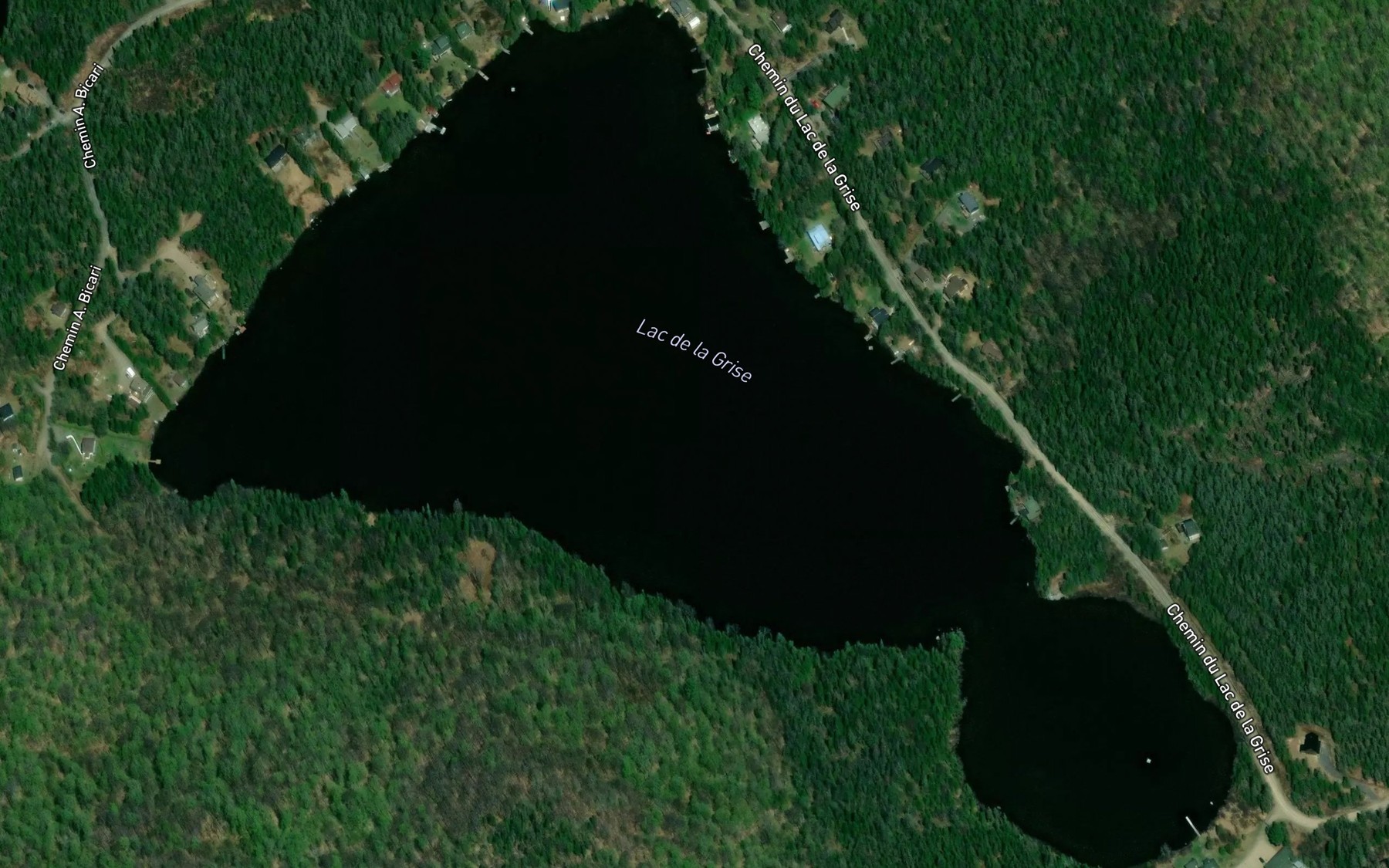 Satellite map of the Lac de la Grise