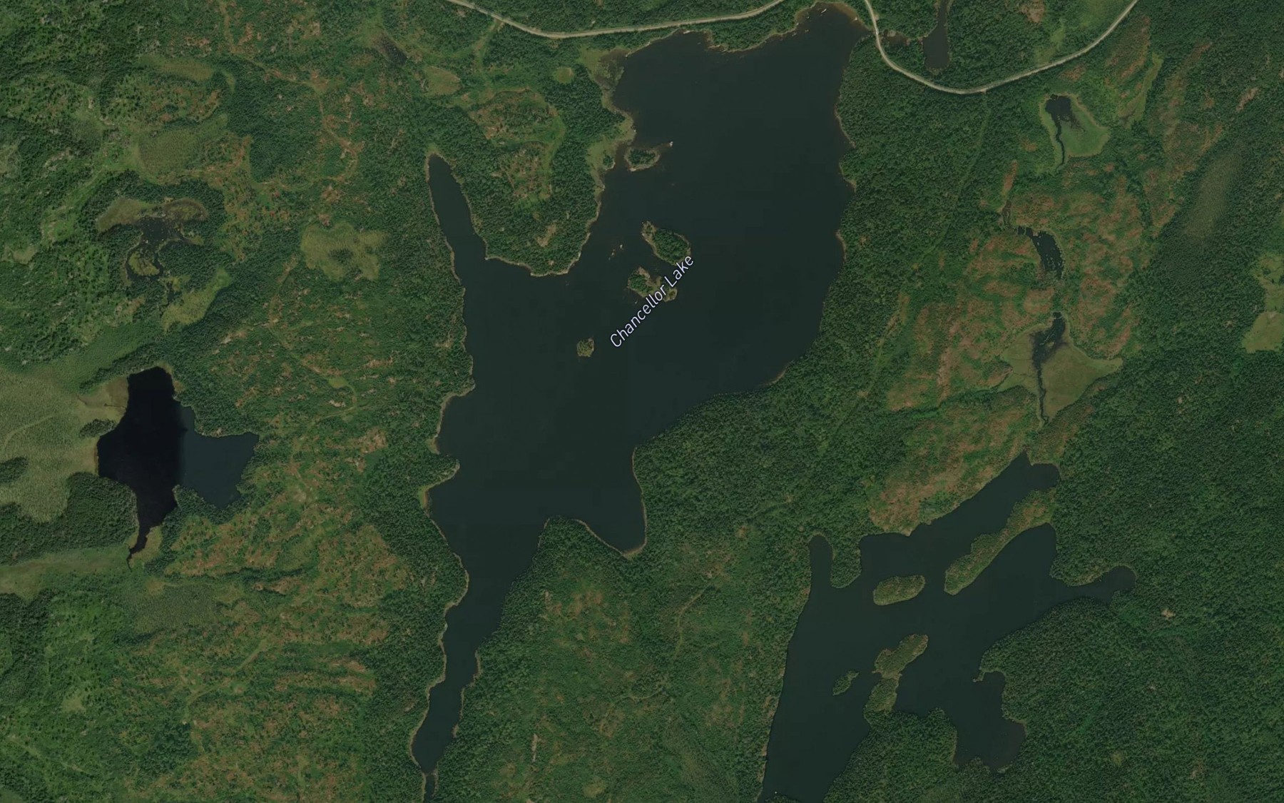 Satellite map of the Chancellor Lake