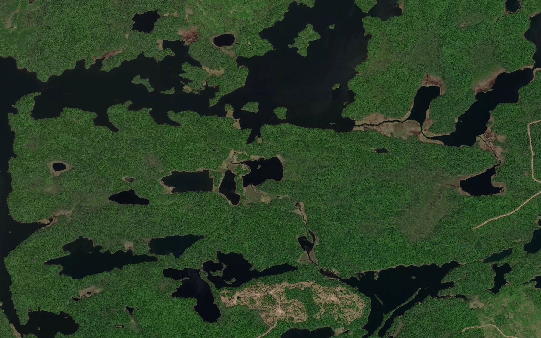 Satellite map of the Joe's Creek