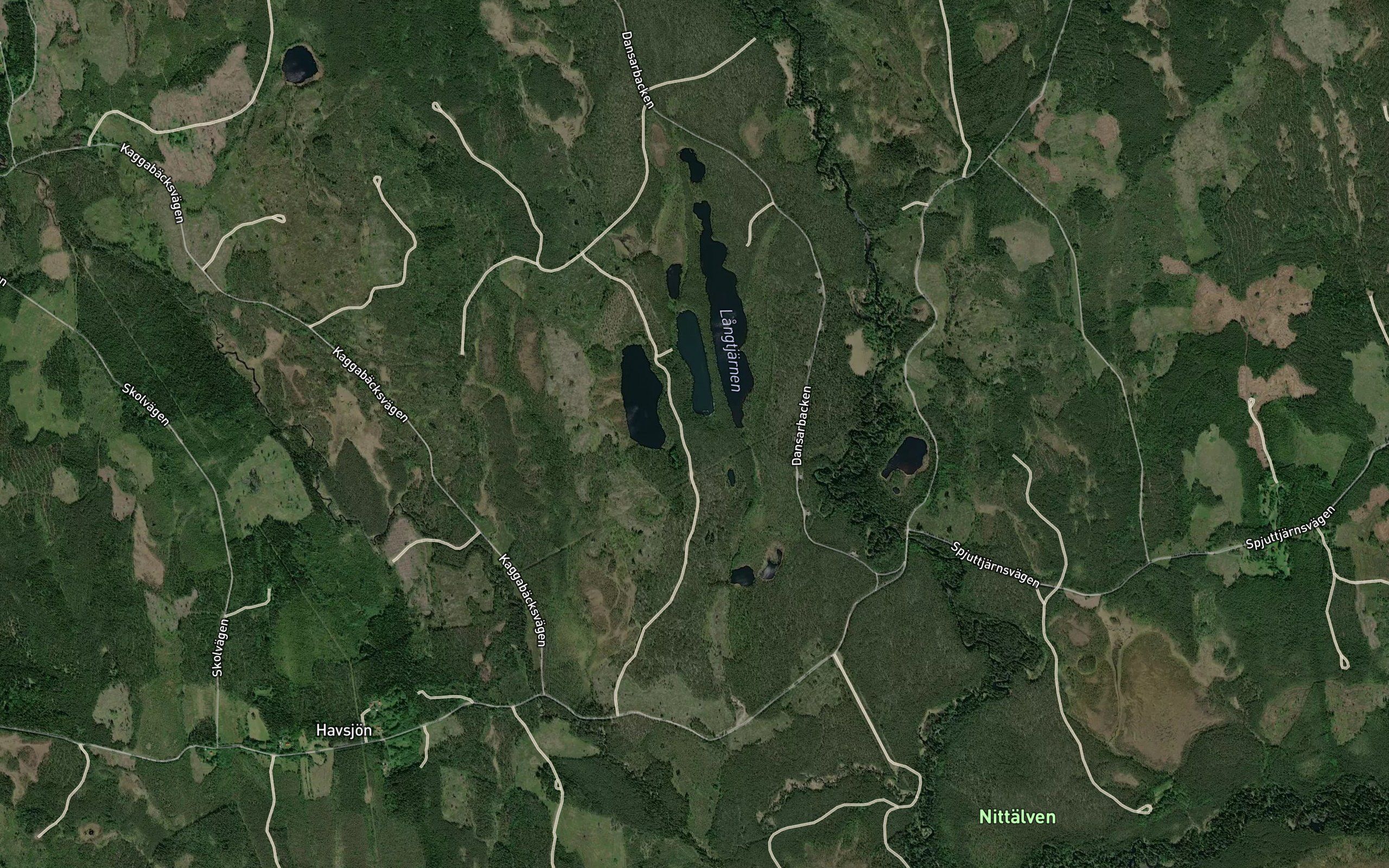 Langtjarn