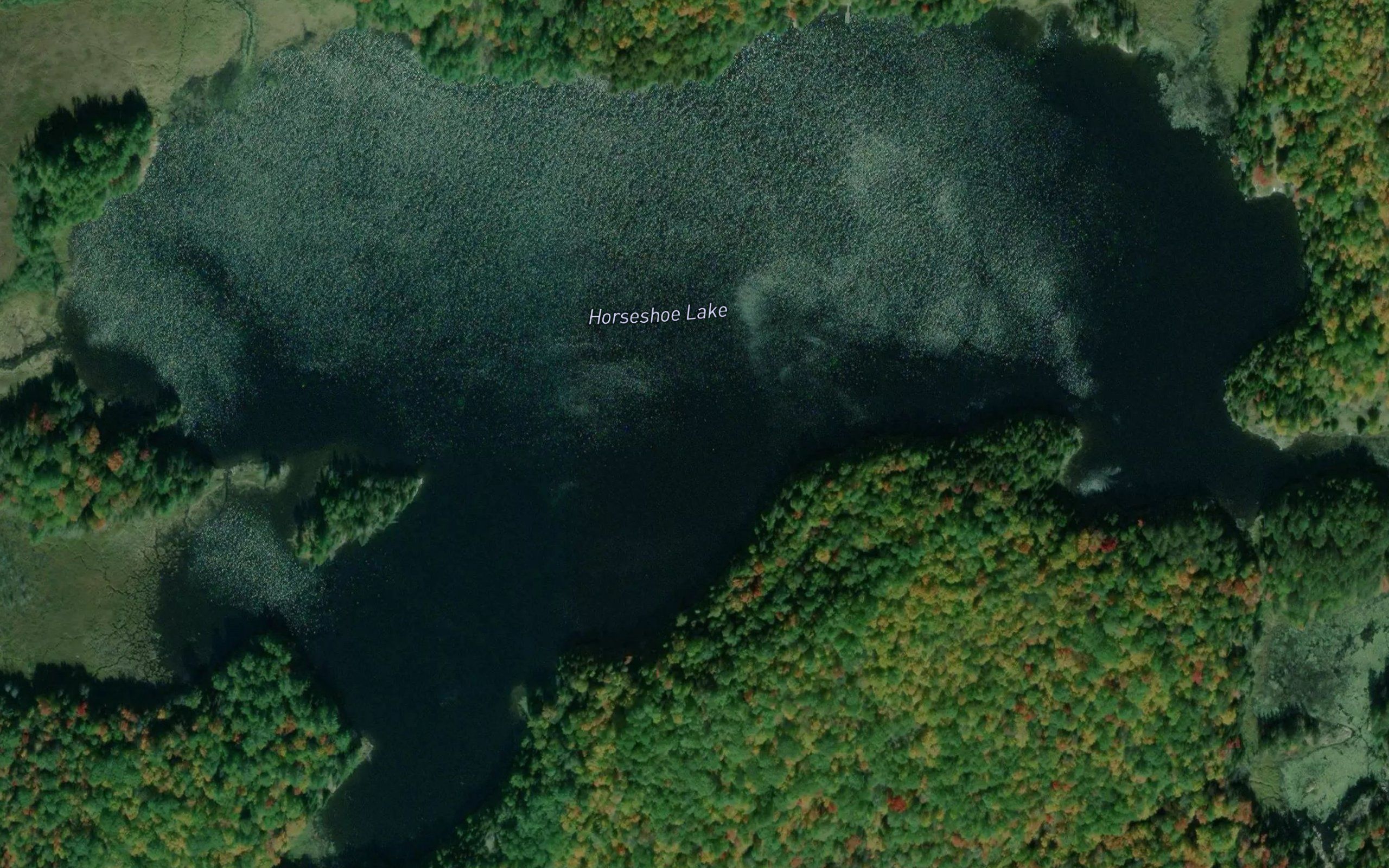 Horseshoe Lake