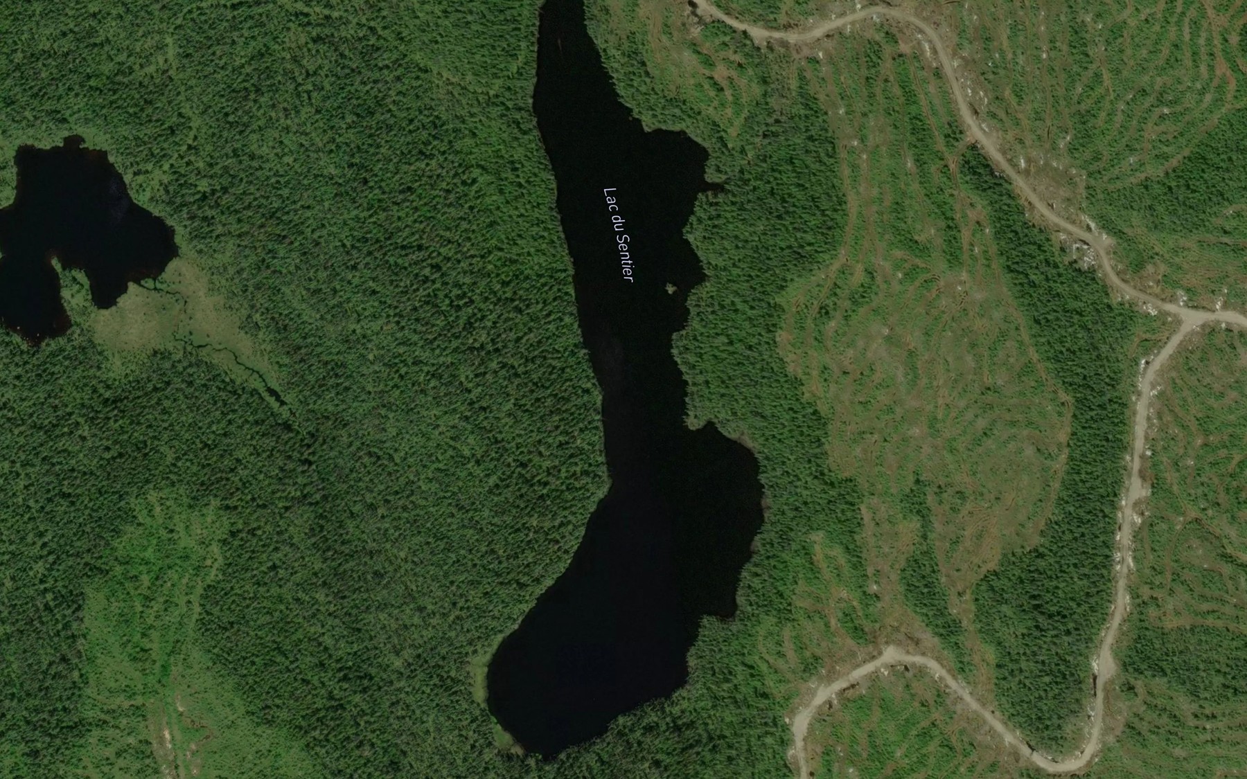 Satellite map of the Lac du Sentier
