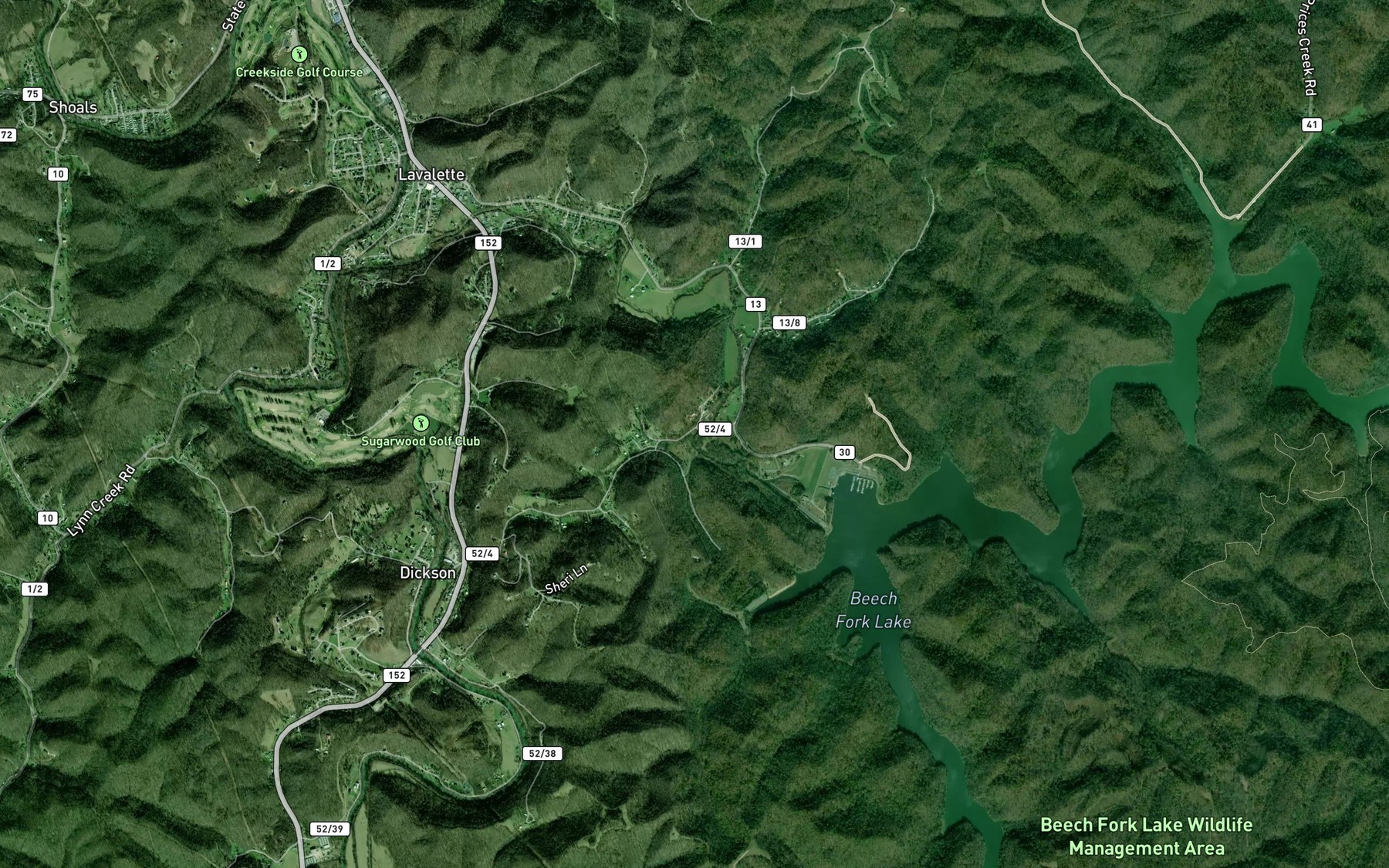 Satellite map of the Falls Branch