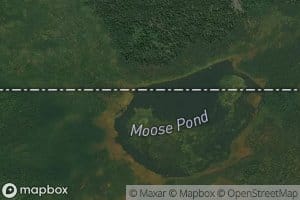 Moose Pond