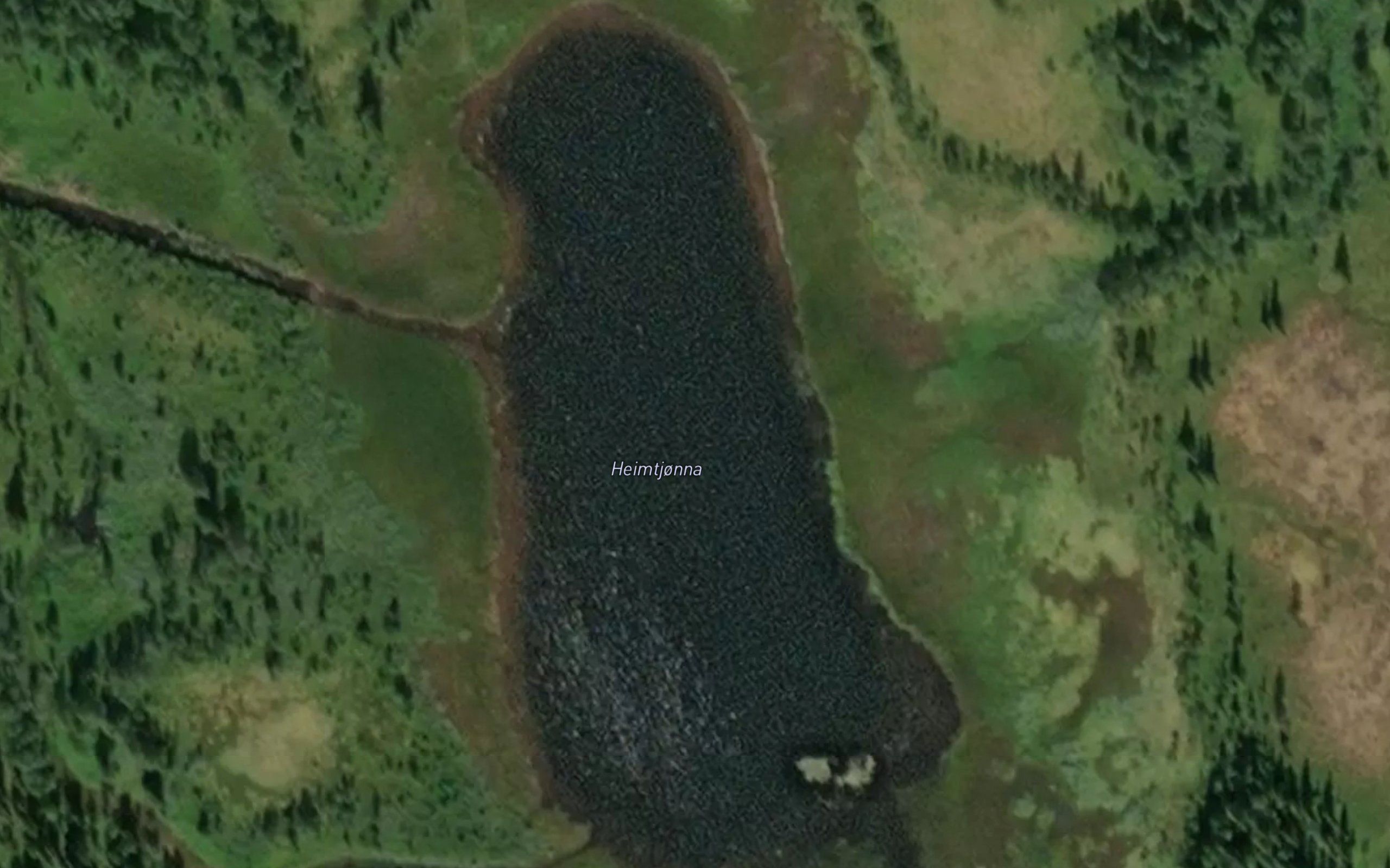 Heimtjonna