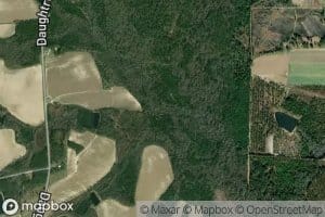 Reedy Creek