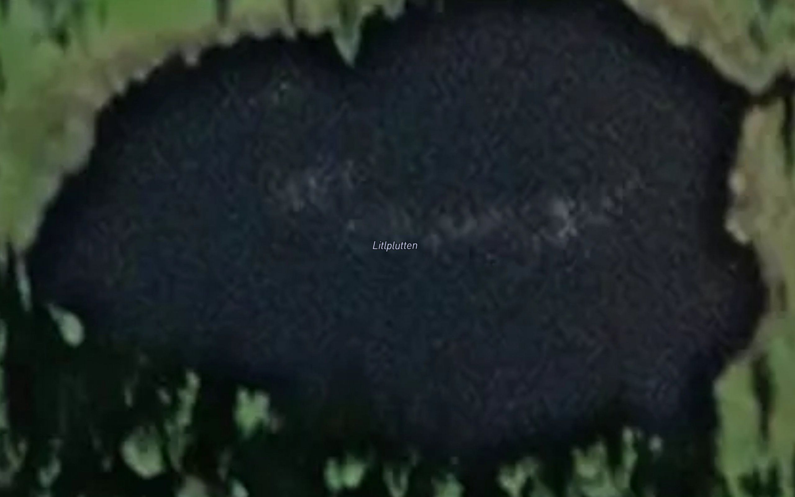 Litlplutten