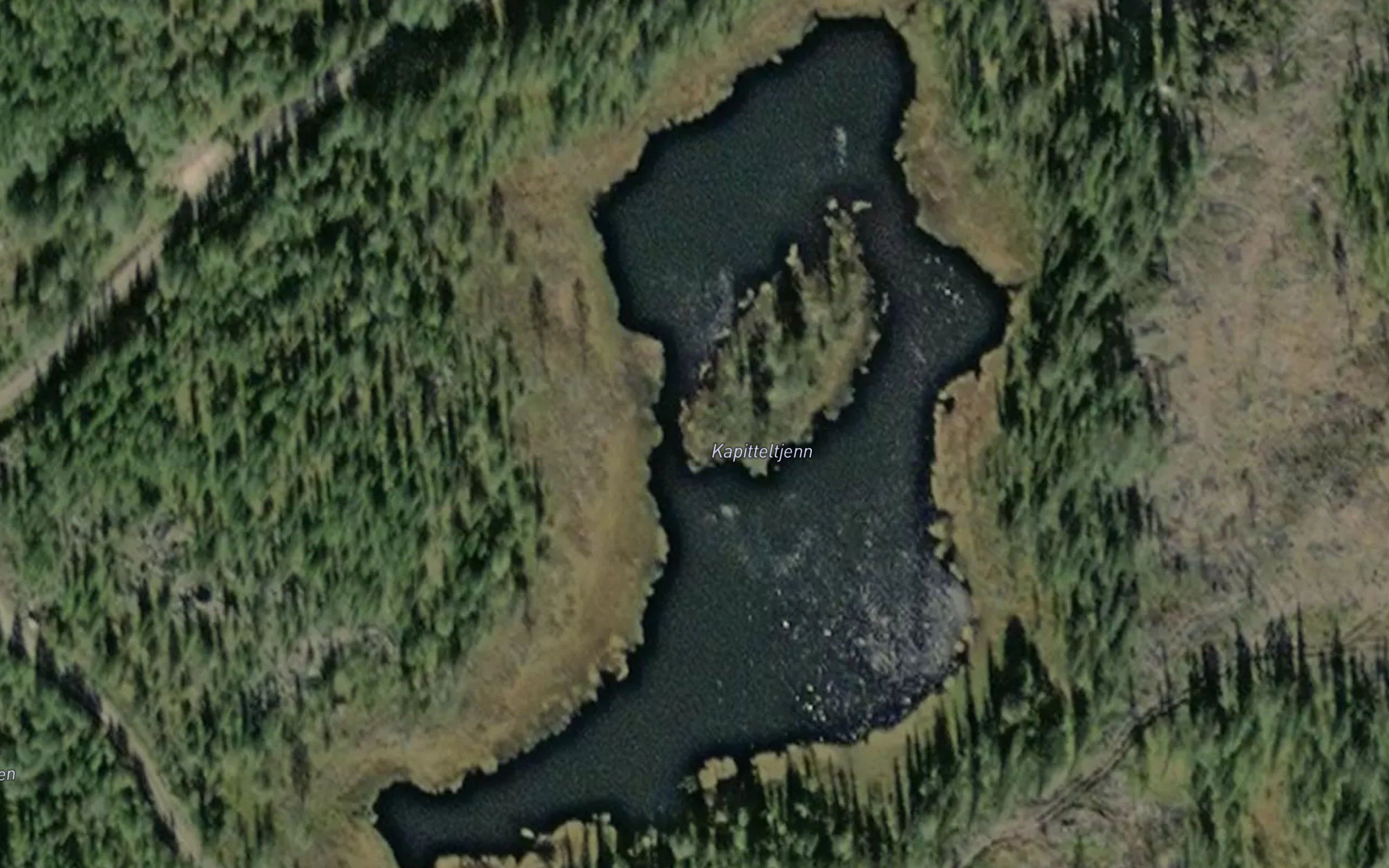 Kapitteltjenn