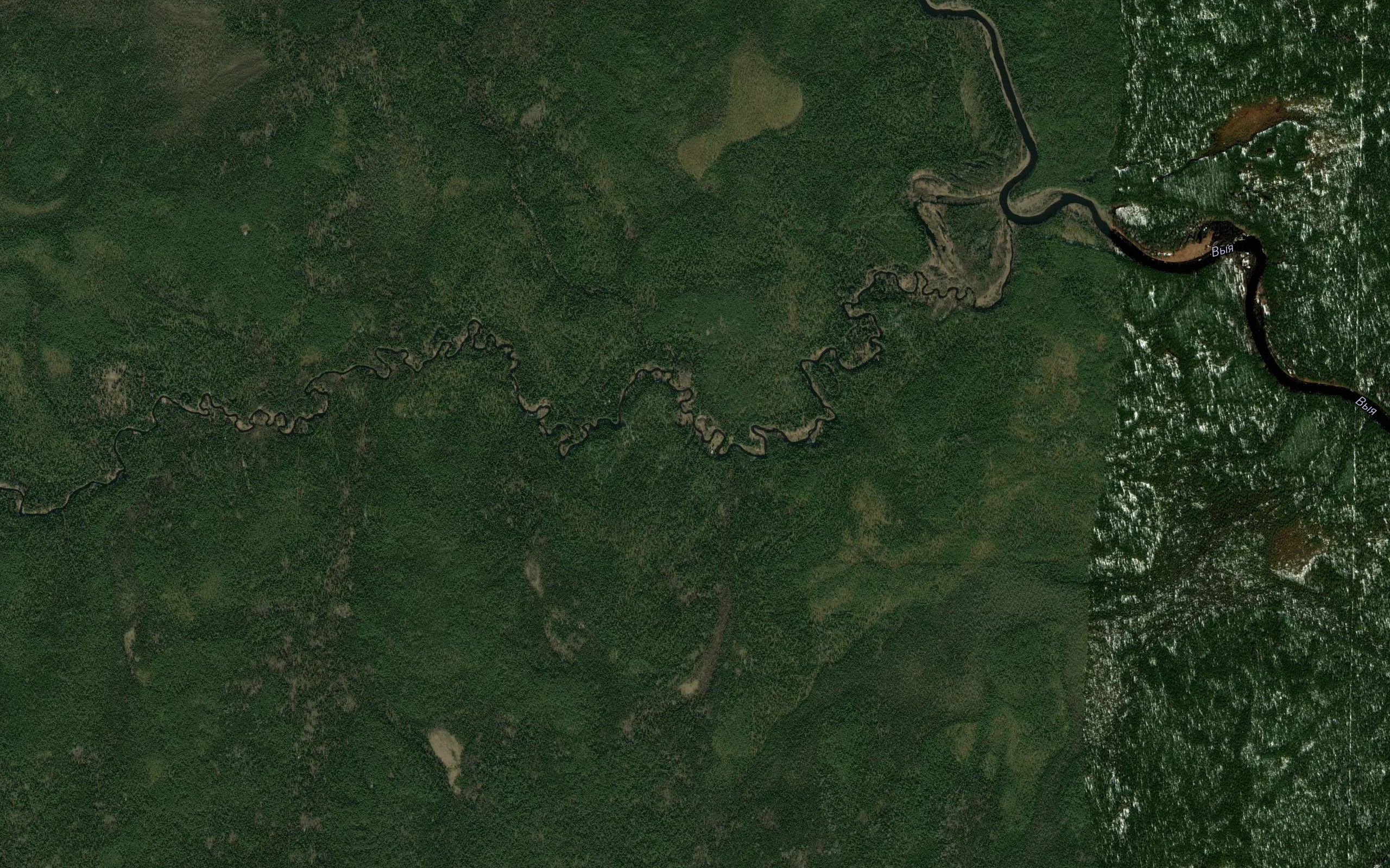 Lavkurskiy