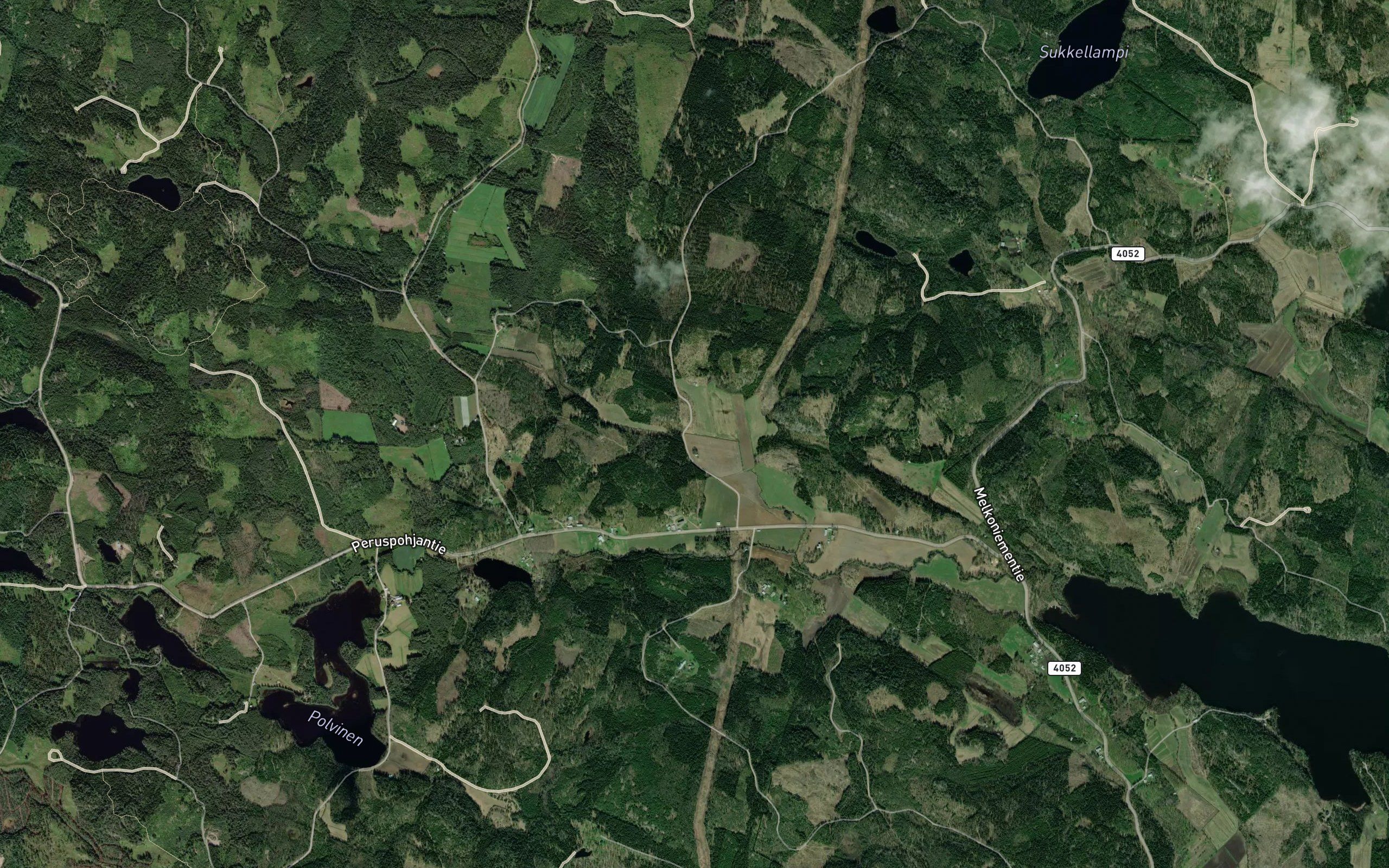 Honkasenjoki