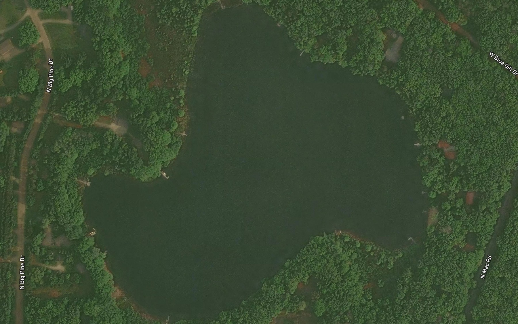 Satellite map of the Bluegill Lake