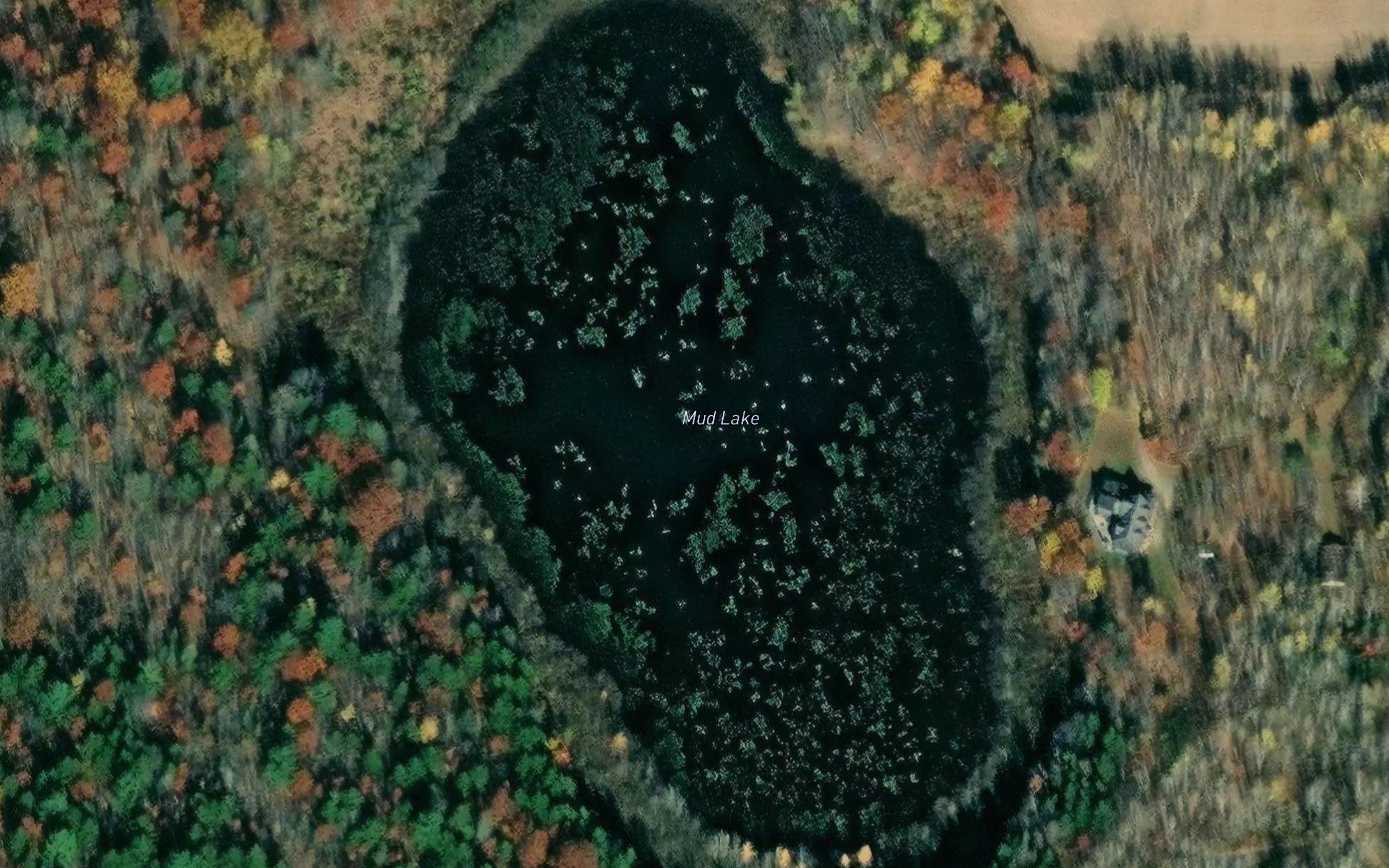 Mud Lake