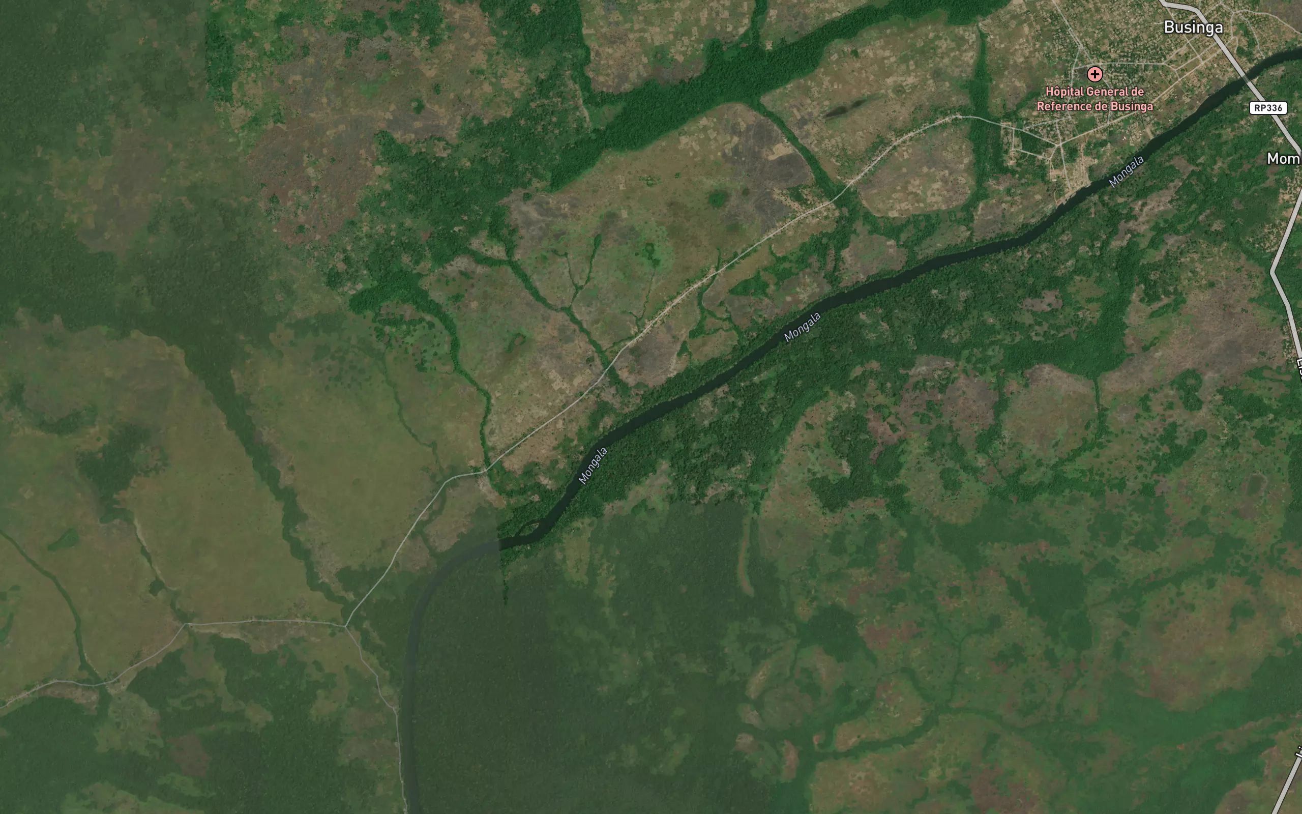 Orongu