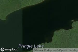 Pringle Lake