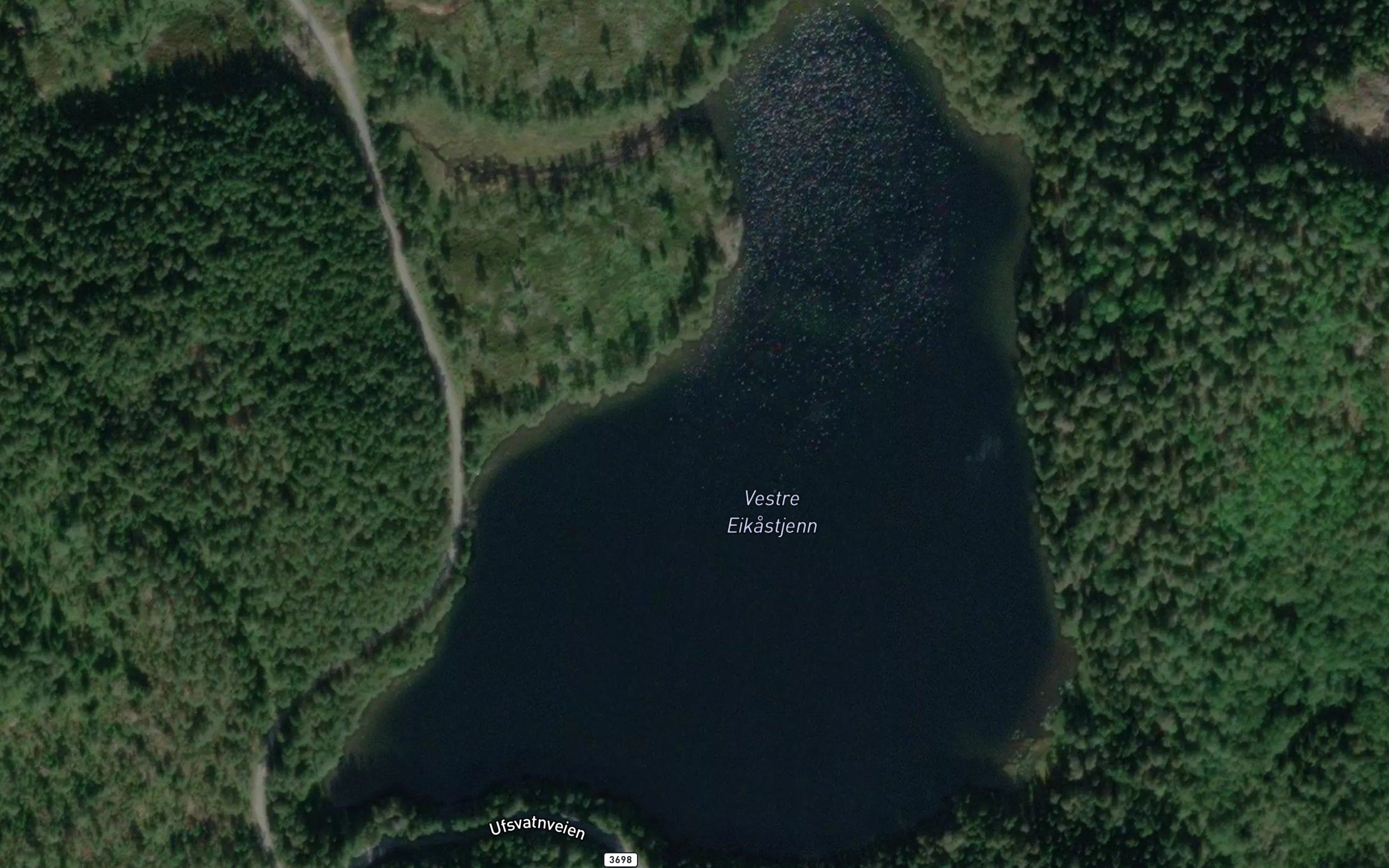 Eikastjorn,vestre