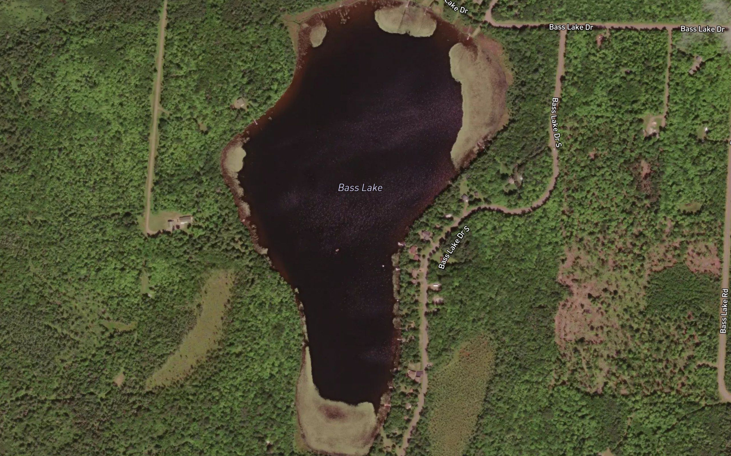 Bass Lake