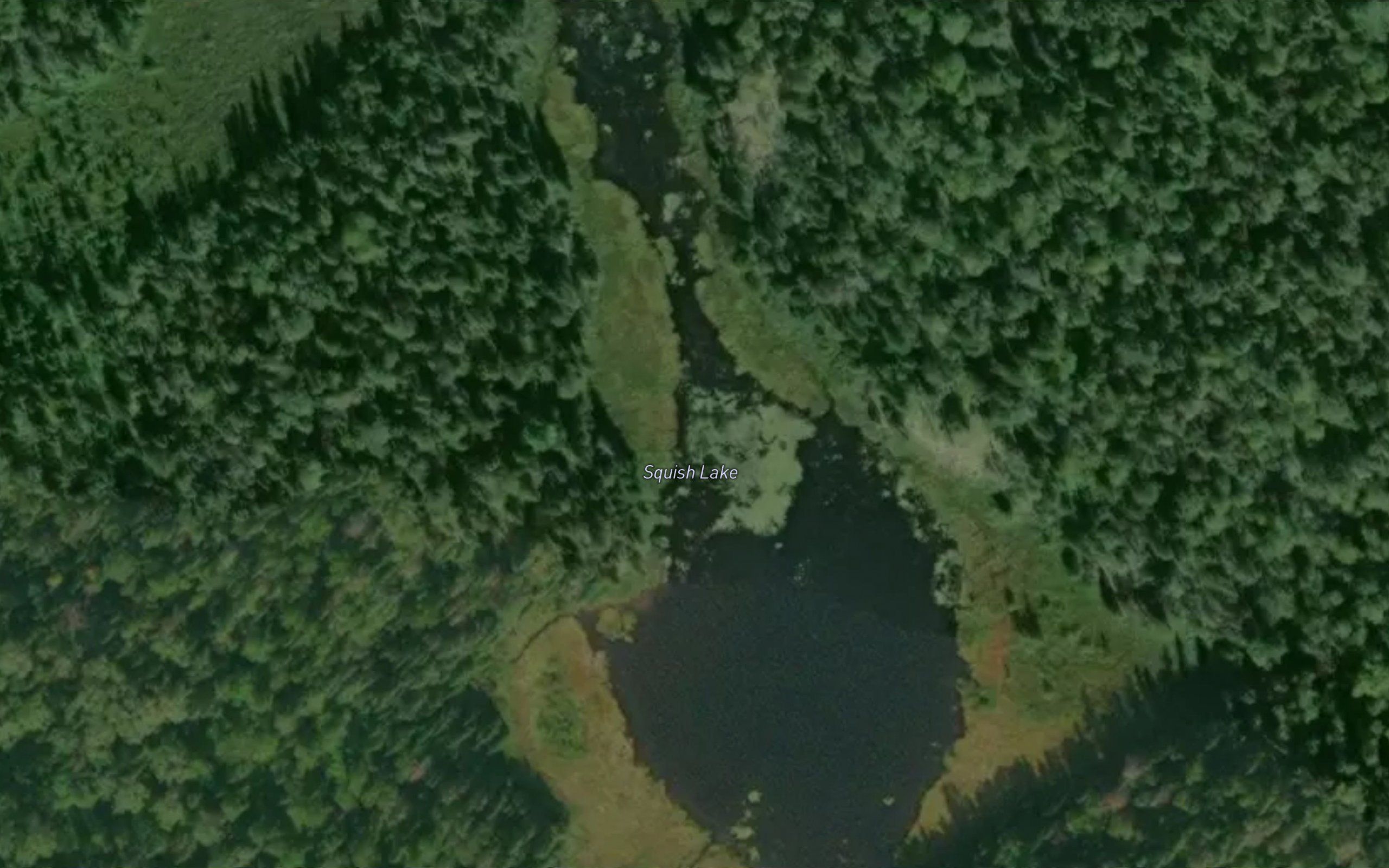 Squish Lake