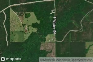 East Branch Black Creek