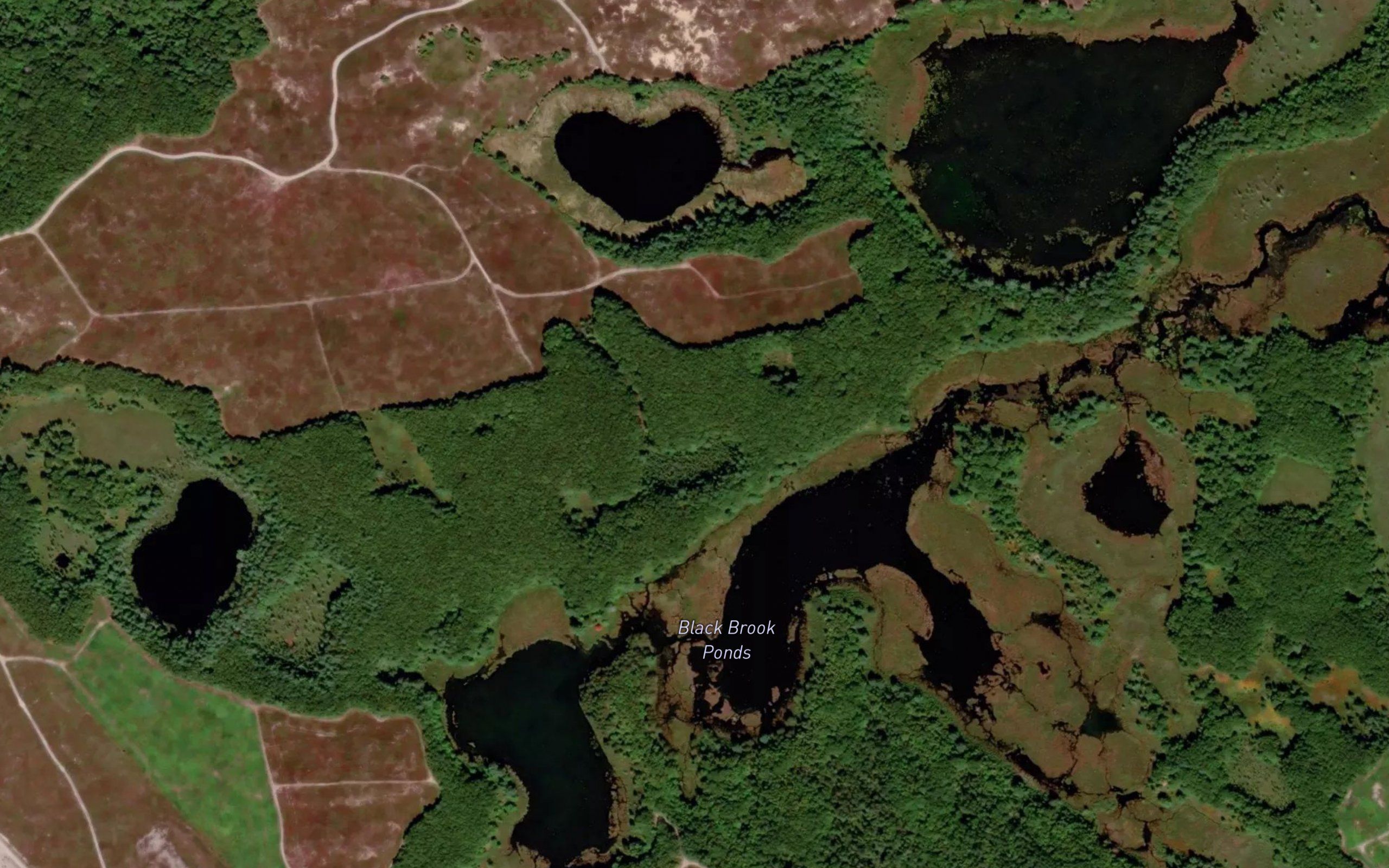 Black Brook Ponds