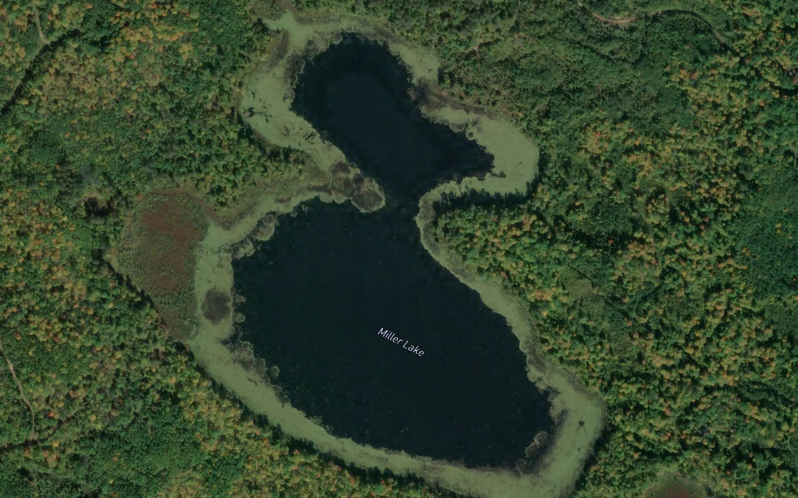 Miller Lake