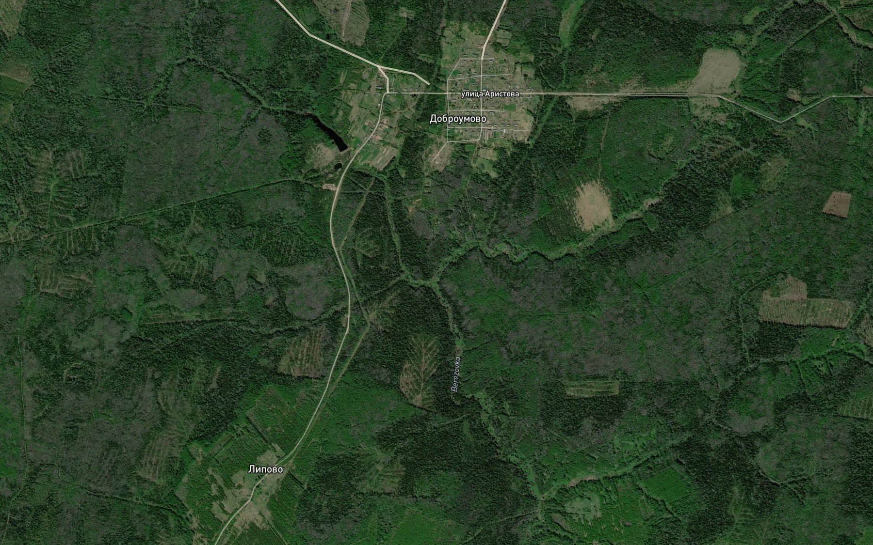 Satellite map of the Drezdun'ya