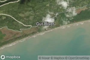 Gut River