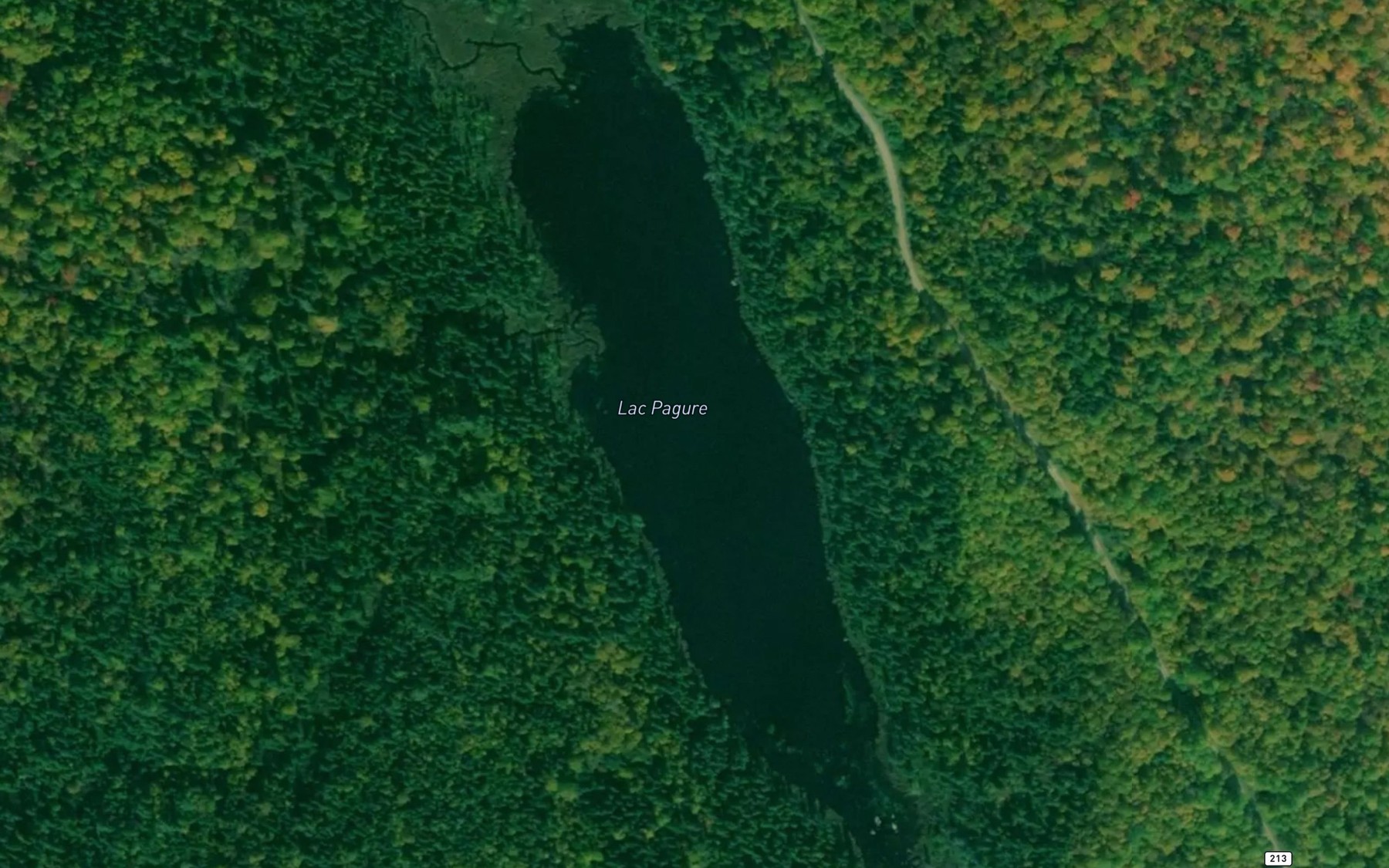 Satellite map of the Lac Pagure
