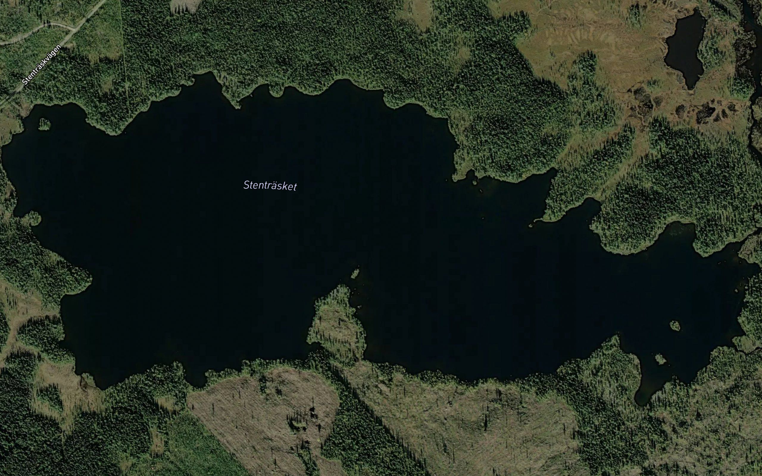 Stentrasket