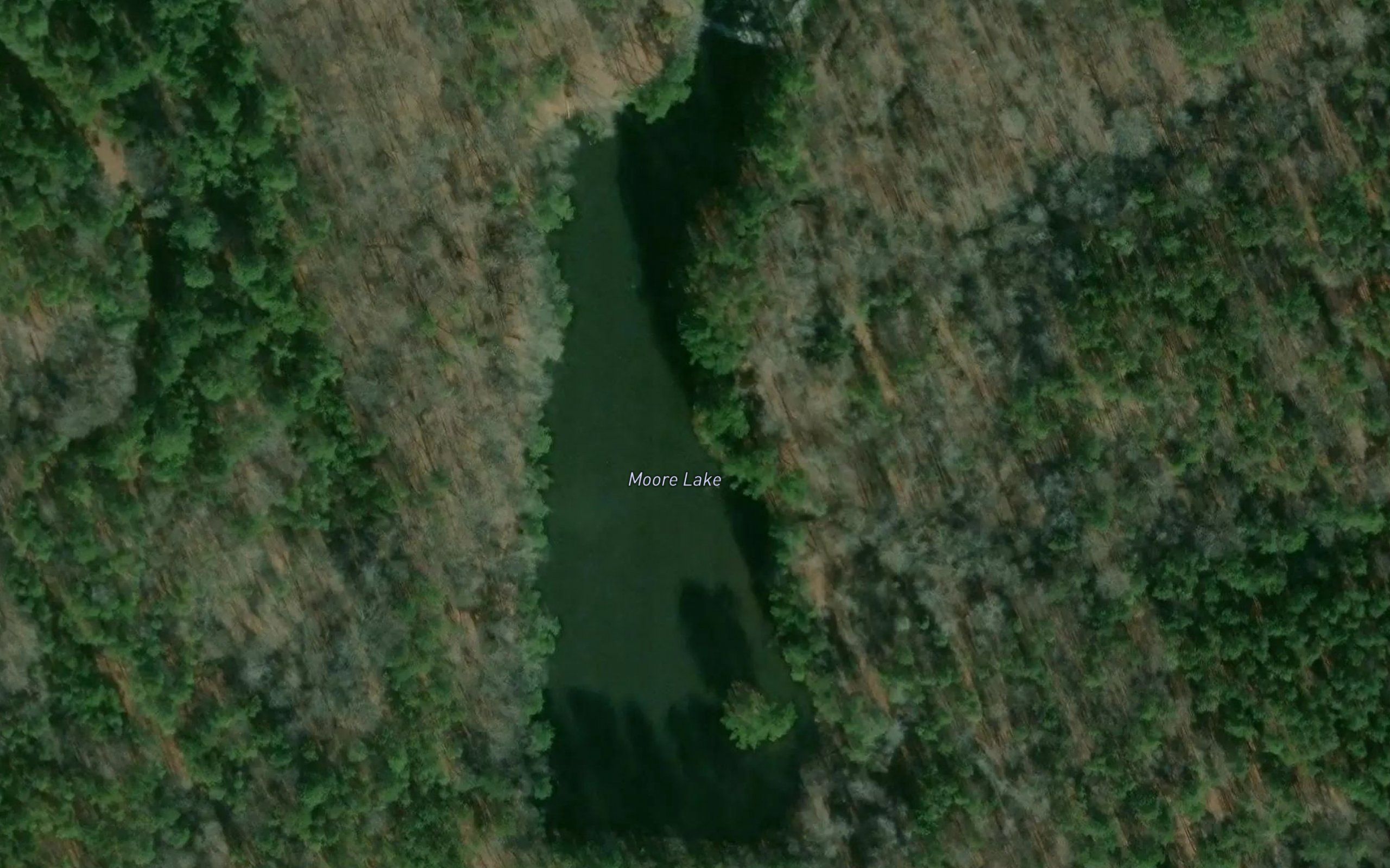 Moore Lake