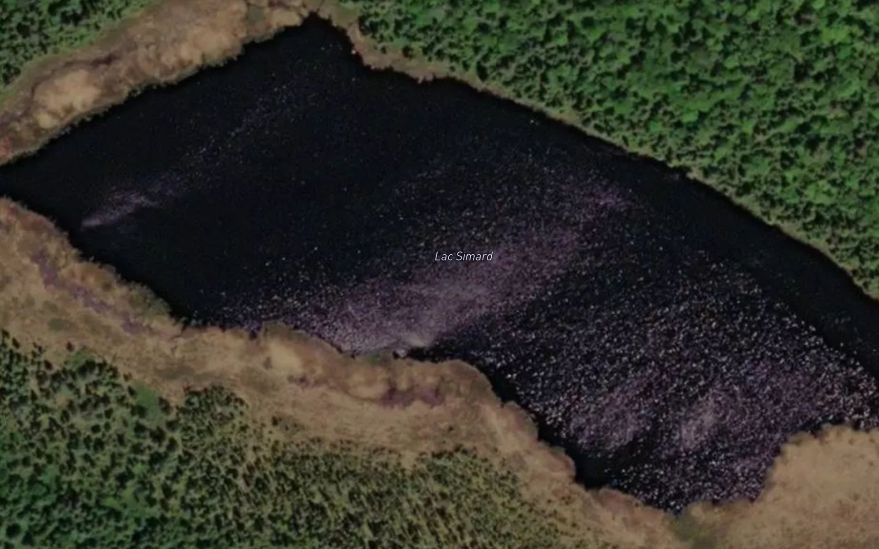 Satellite map of the Lac Simard