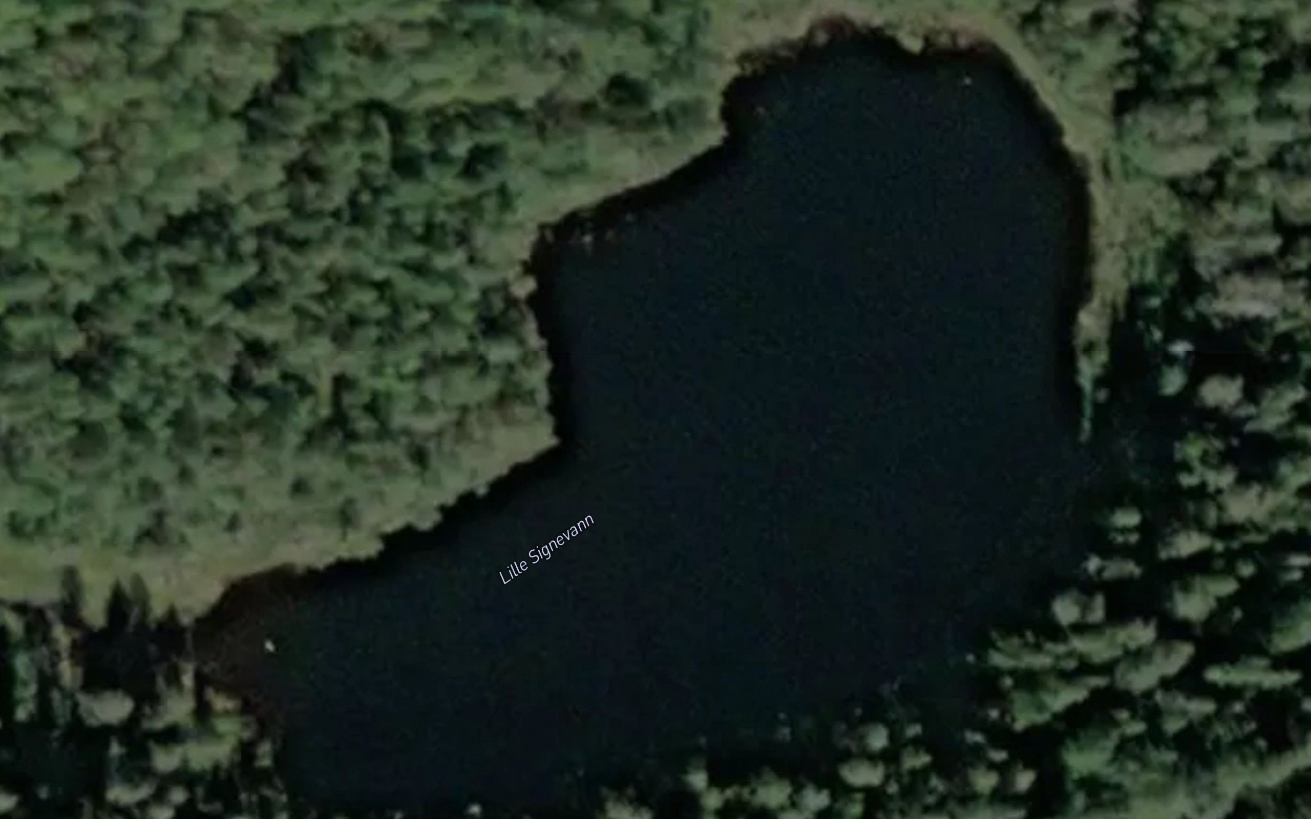 Lille Signevann