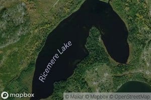 Ricemere Lake
